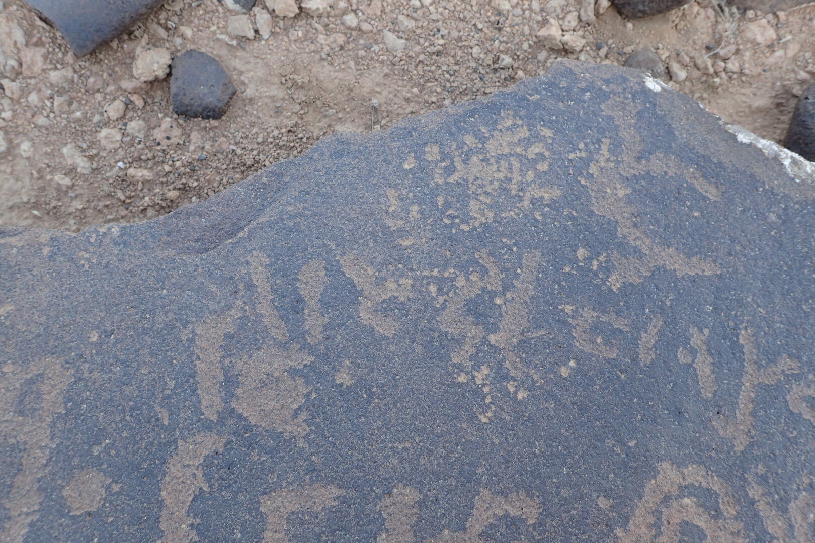 Image of siglum BES20 1558
