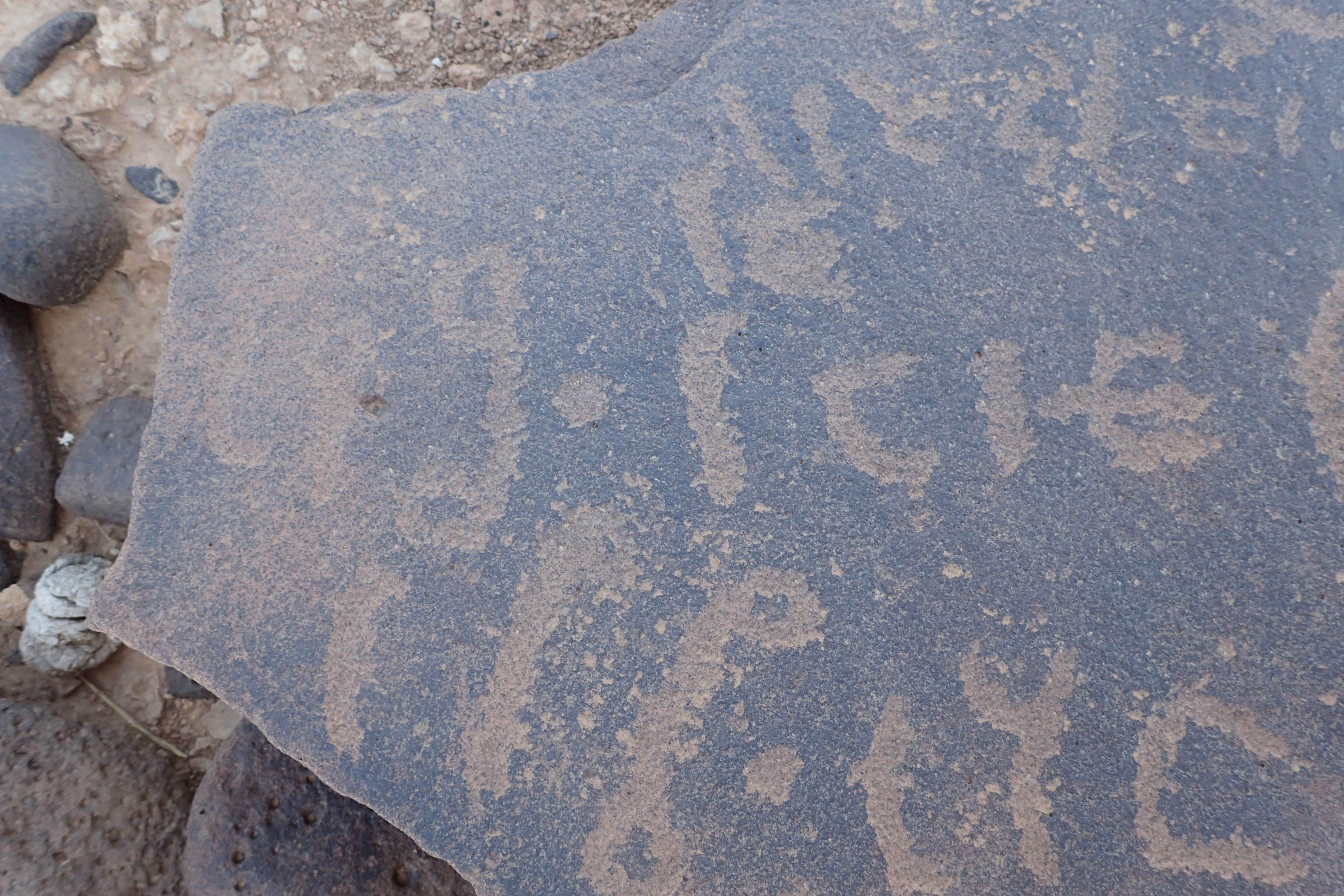 Image of siglum BES20 1559