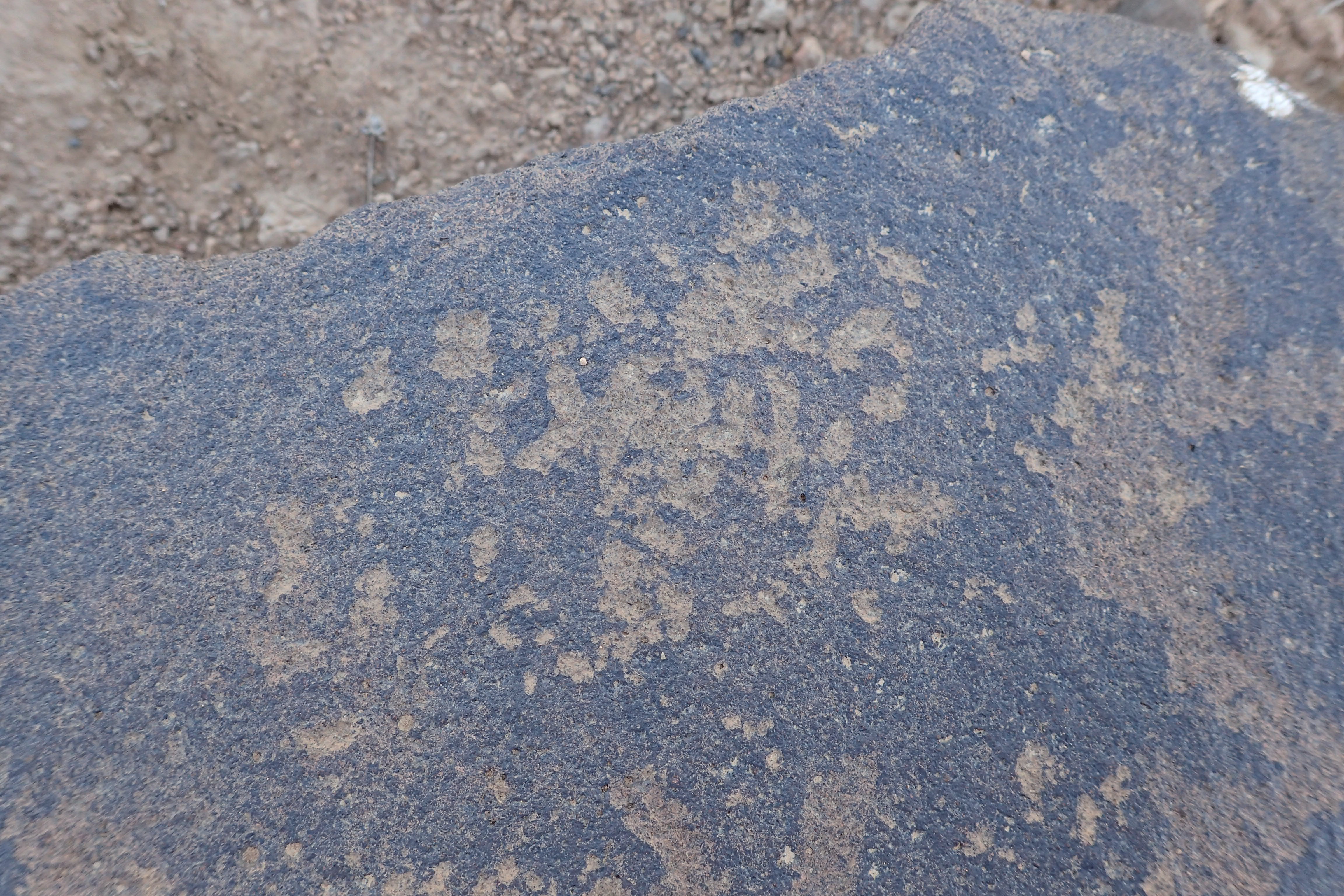 Image of siglum BES20 1559