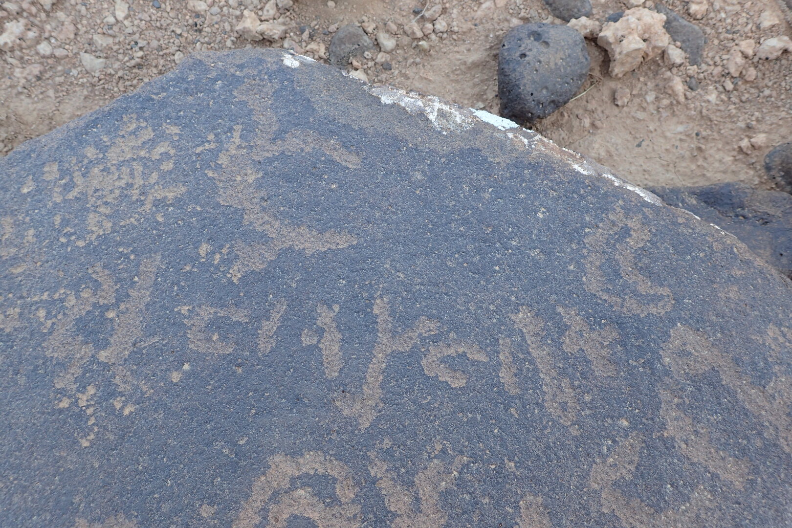 Image of siglum BES20 1559