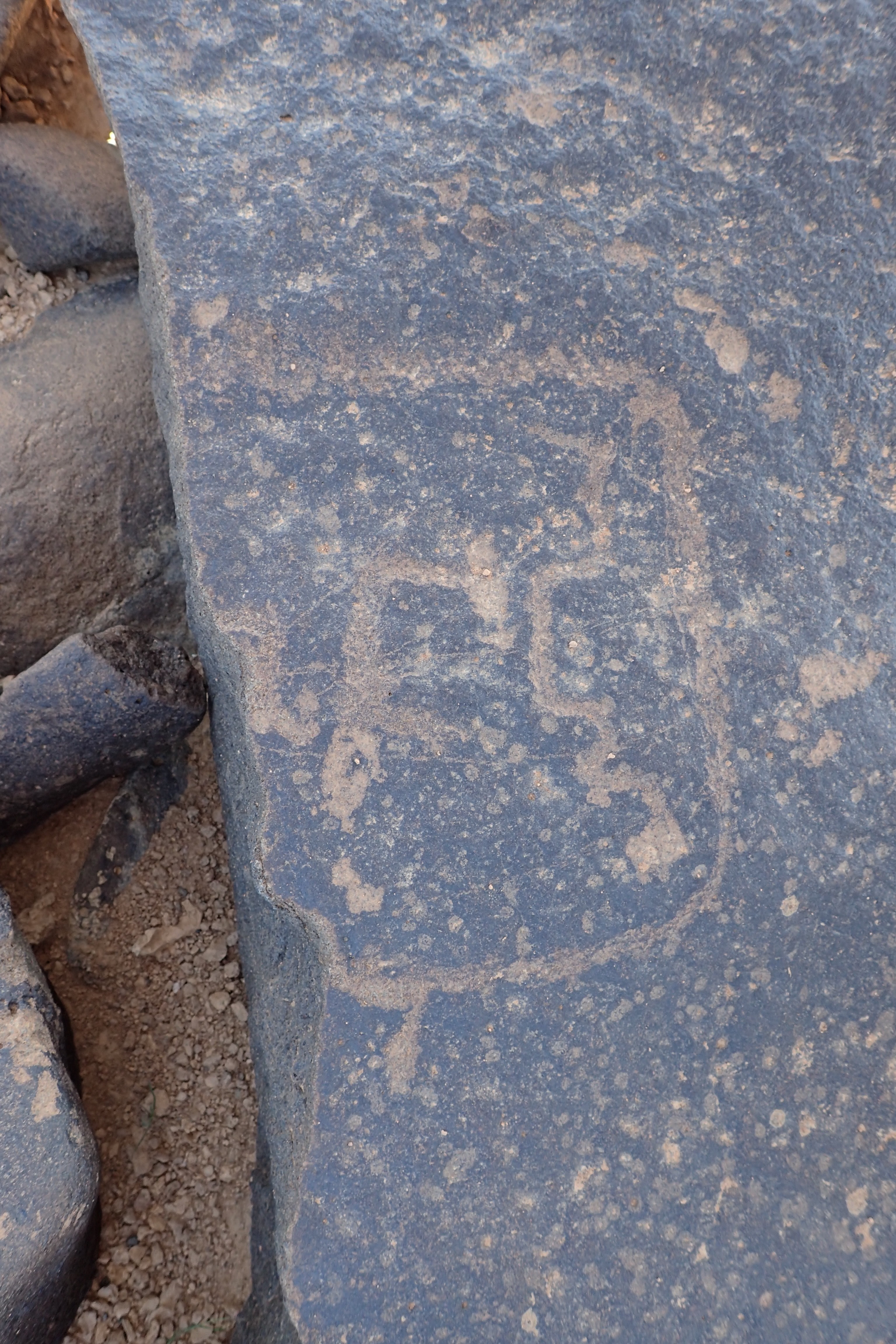 Image of siglum BES20 1560