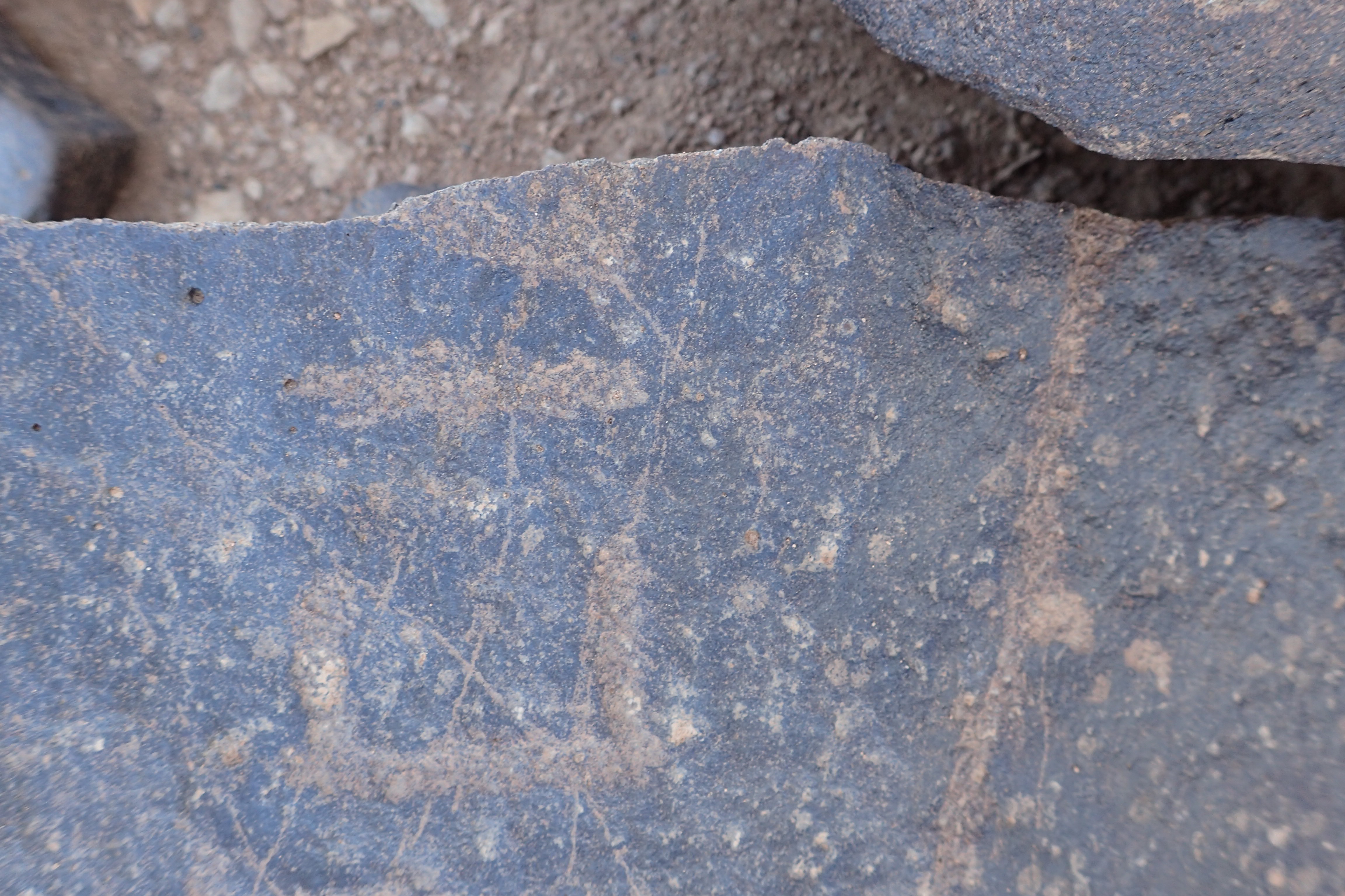 Image of siglum BES20 1560