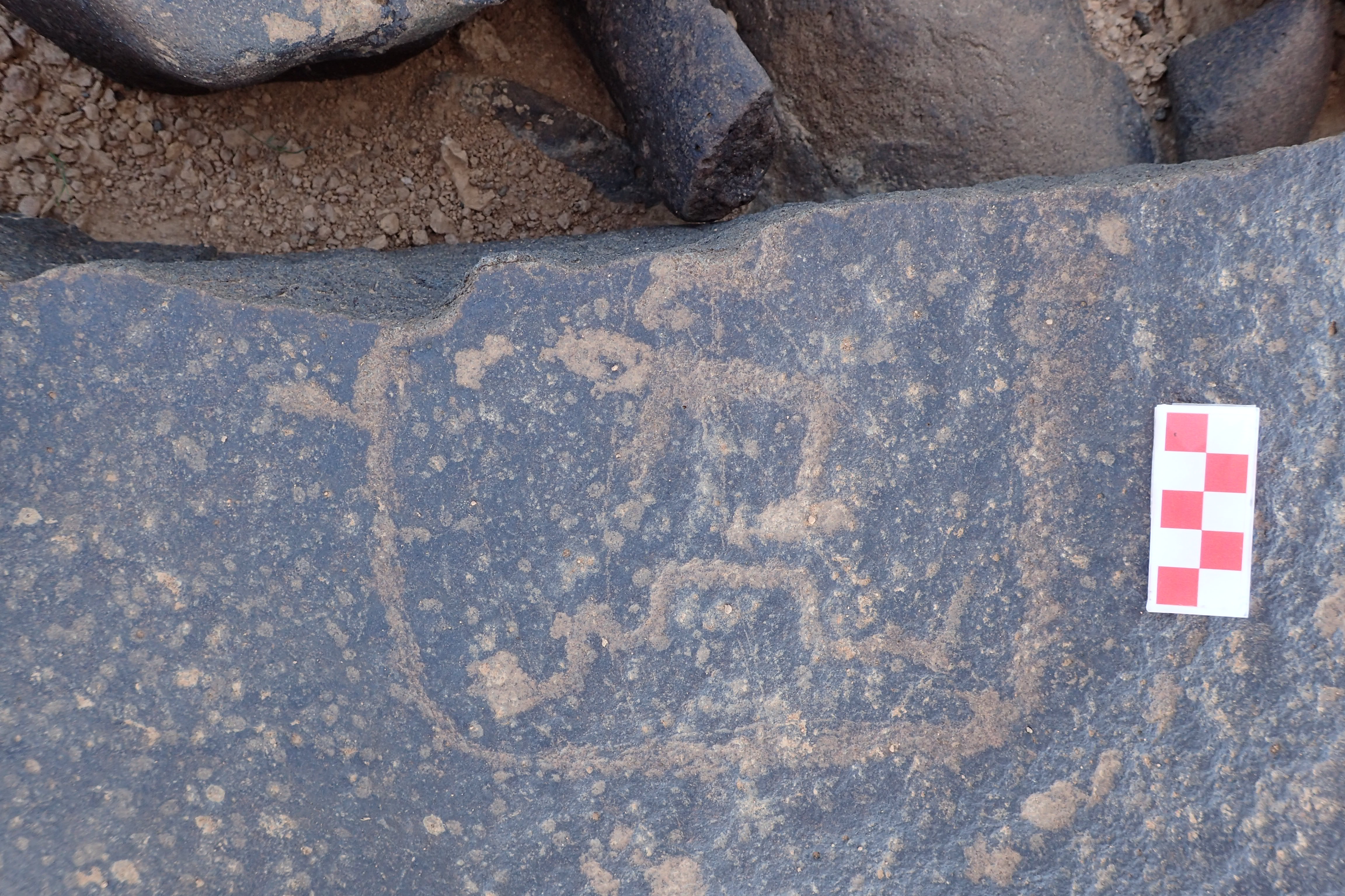 Image of siglum BES20 1560