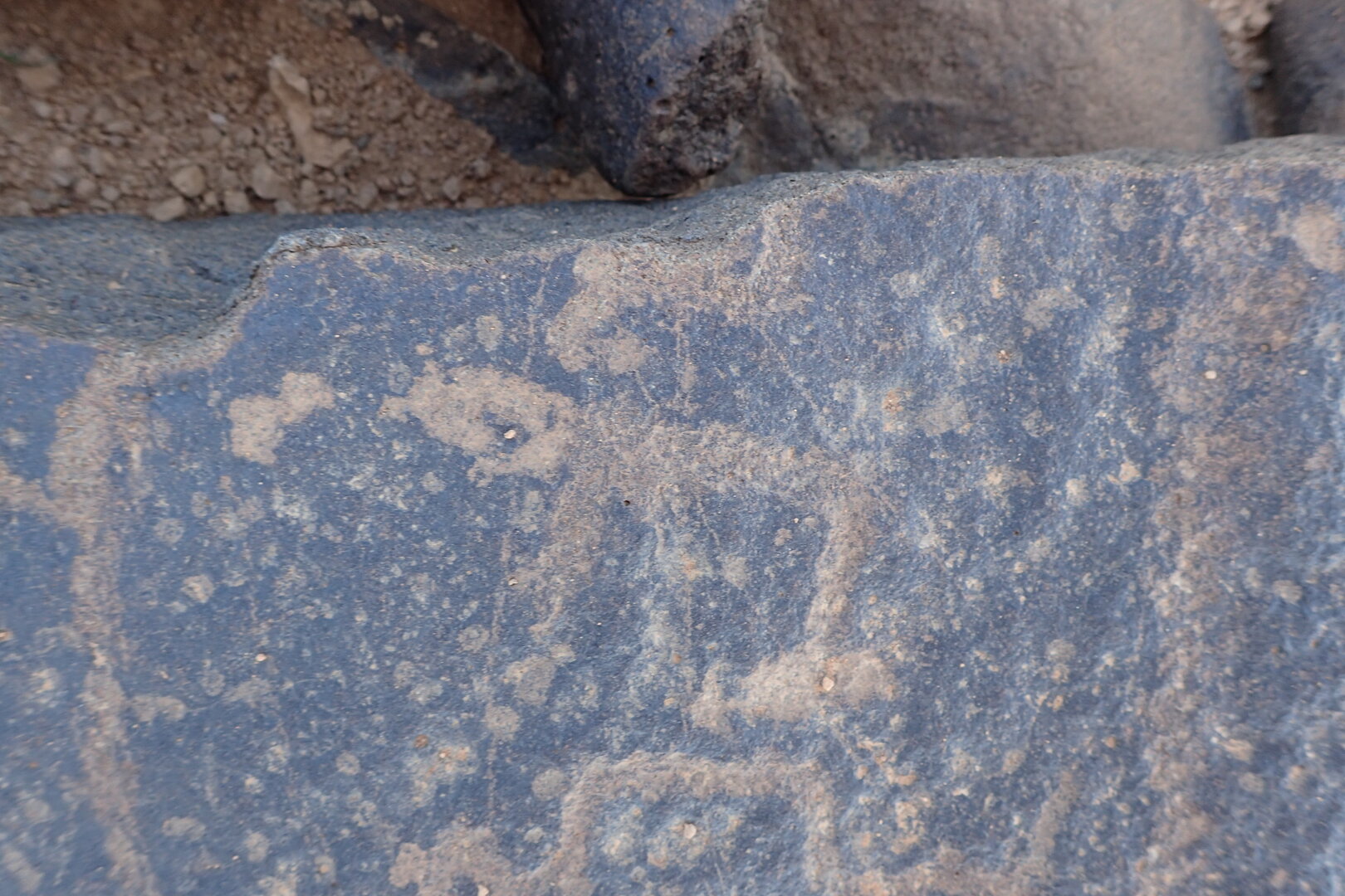 Image of siglum BES20 1560
