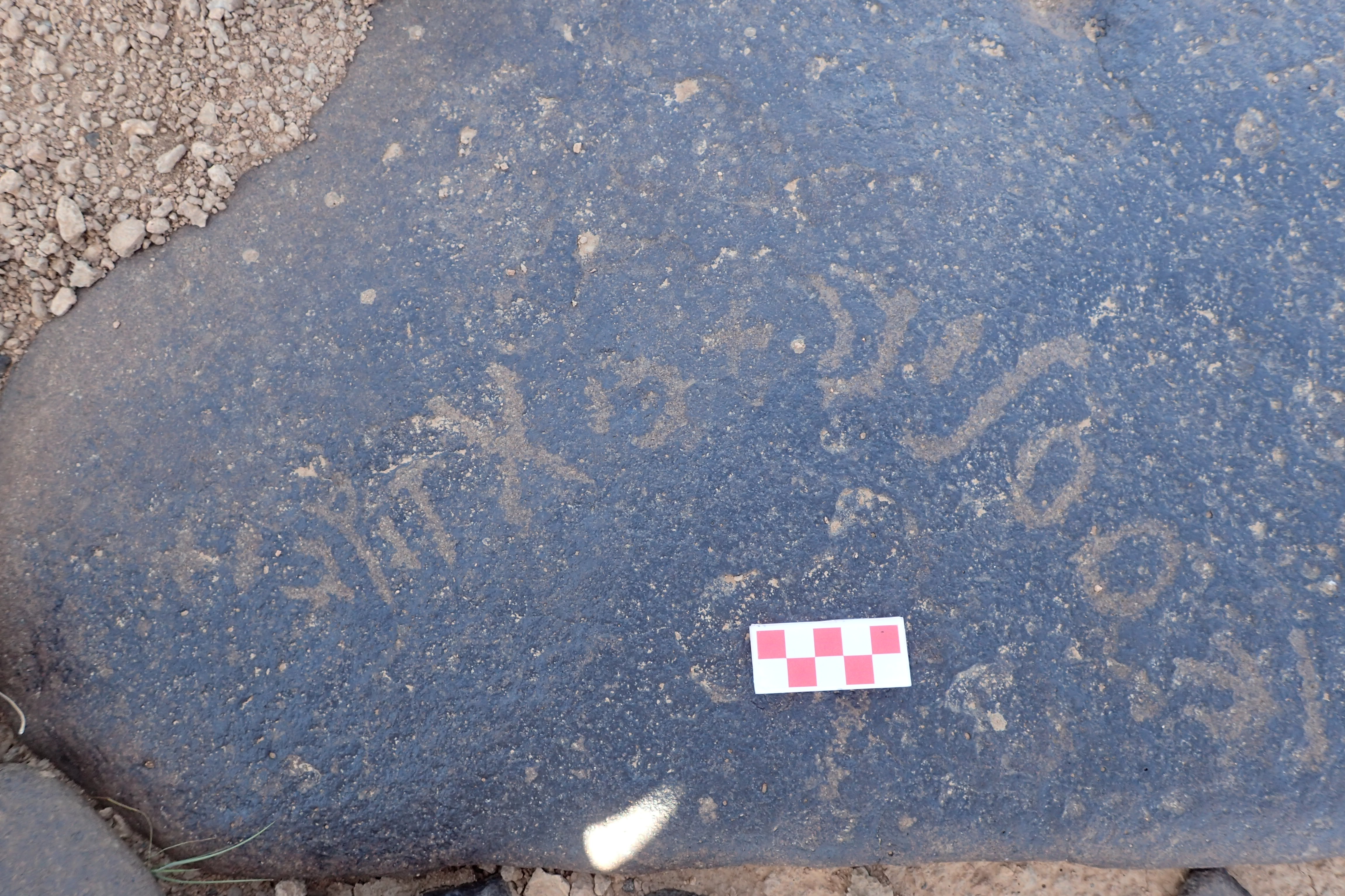 Image of siglum BES20 1561