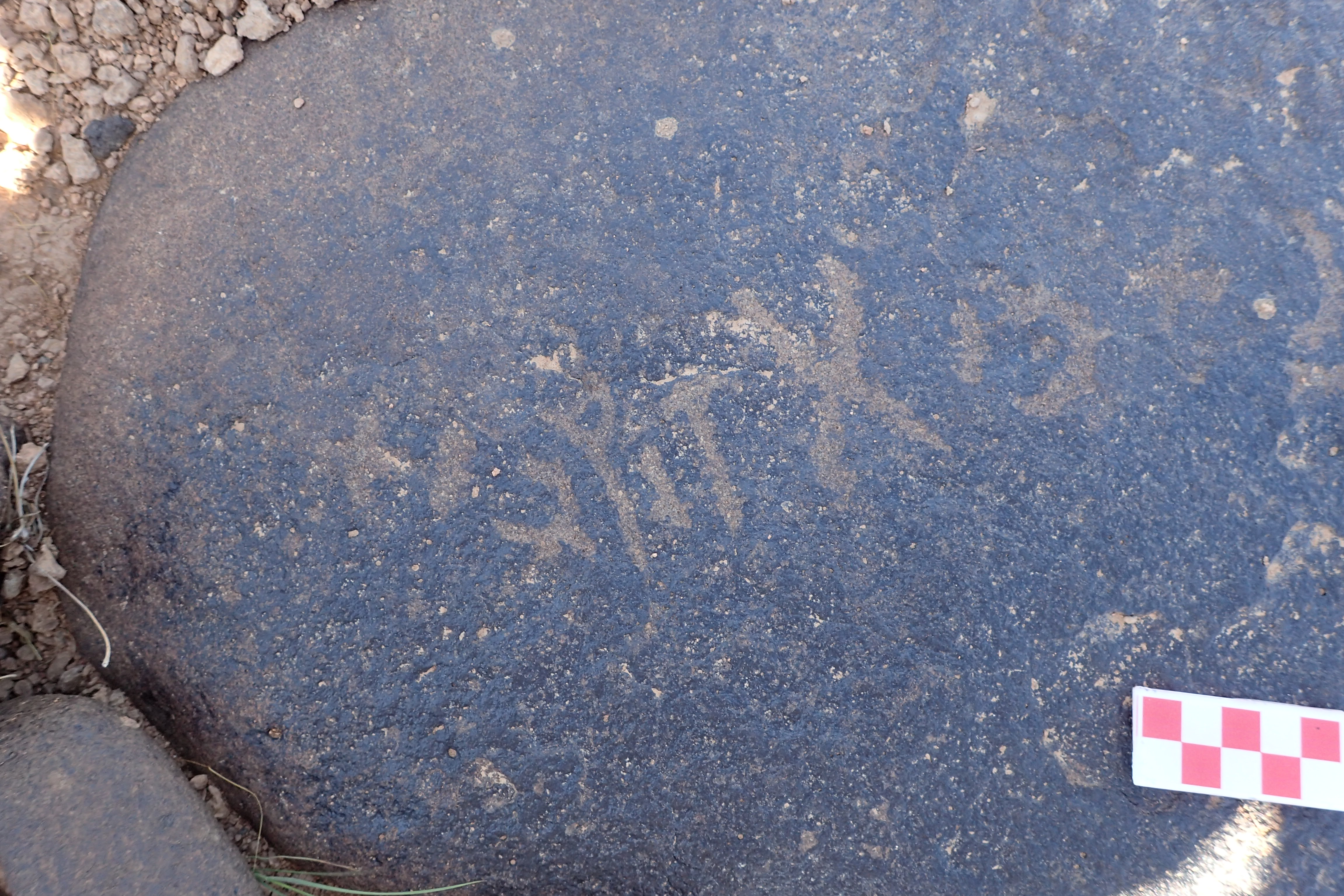 Image of siglum BES20 1561