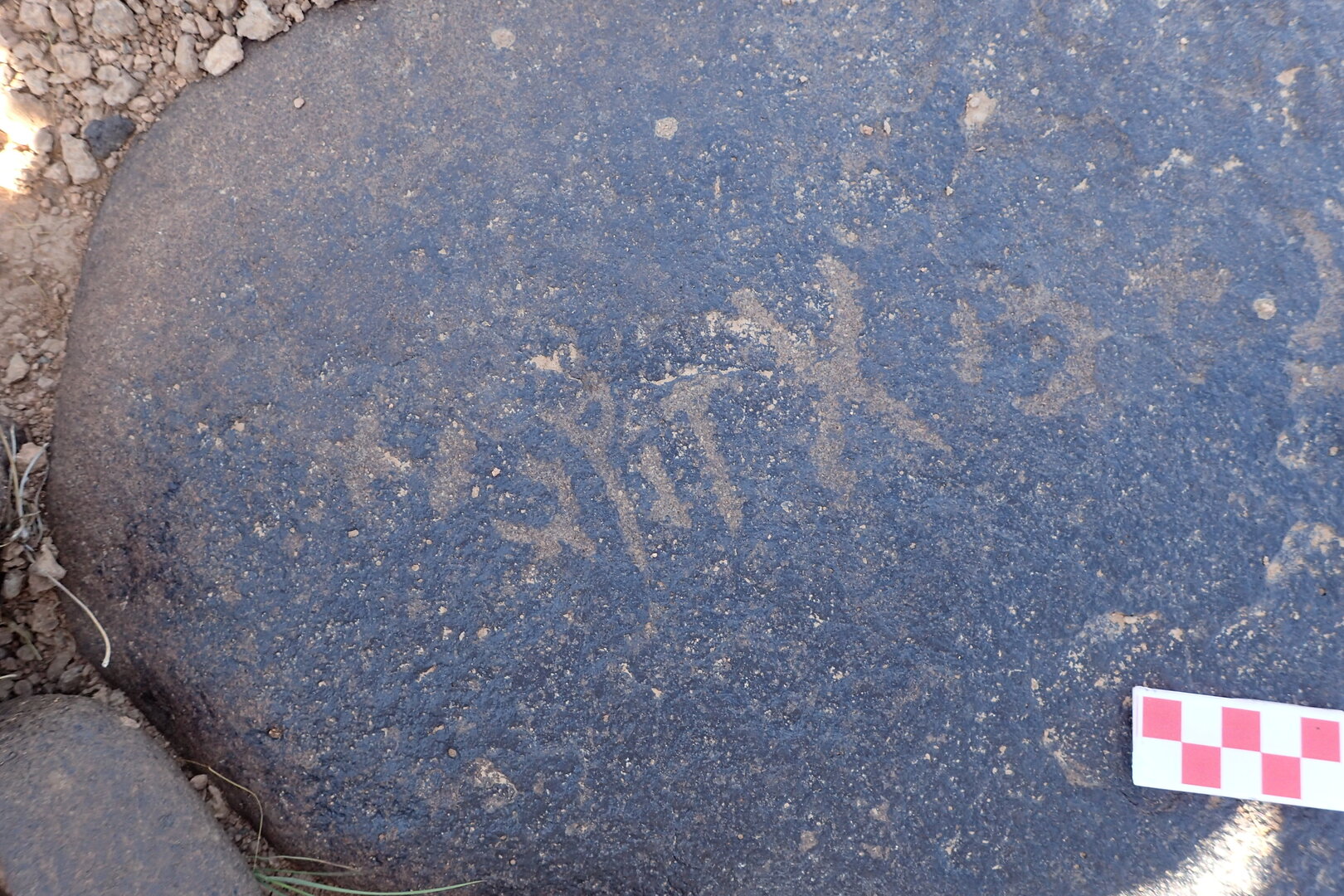 Image of siglum BES20 1561