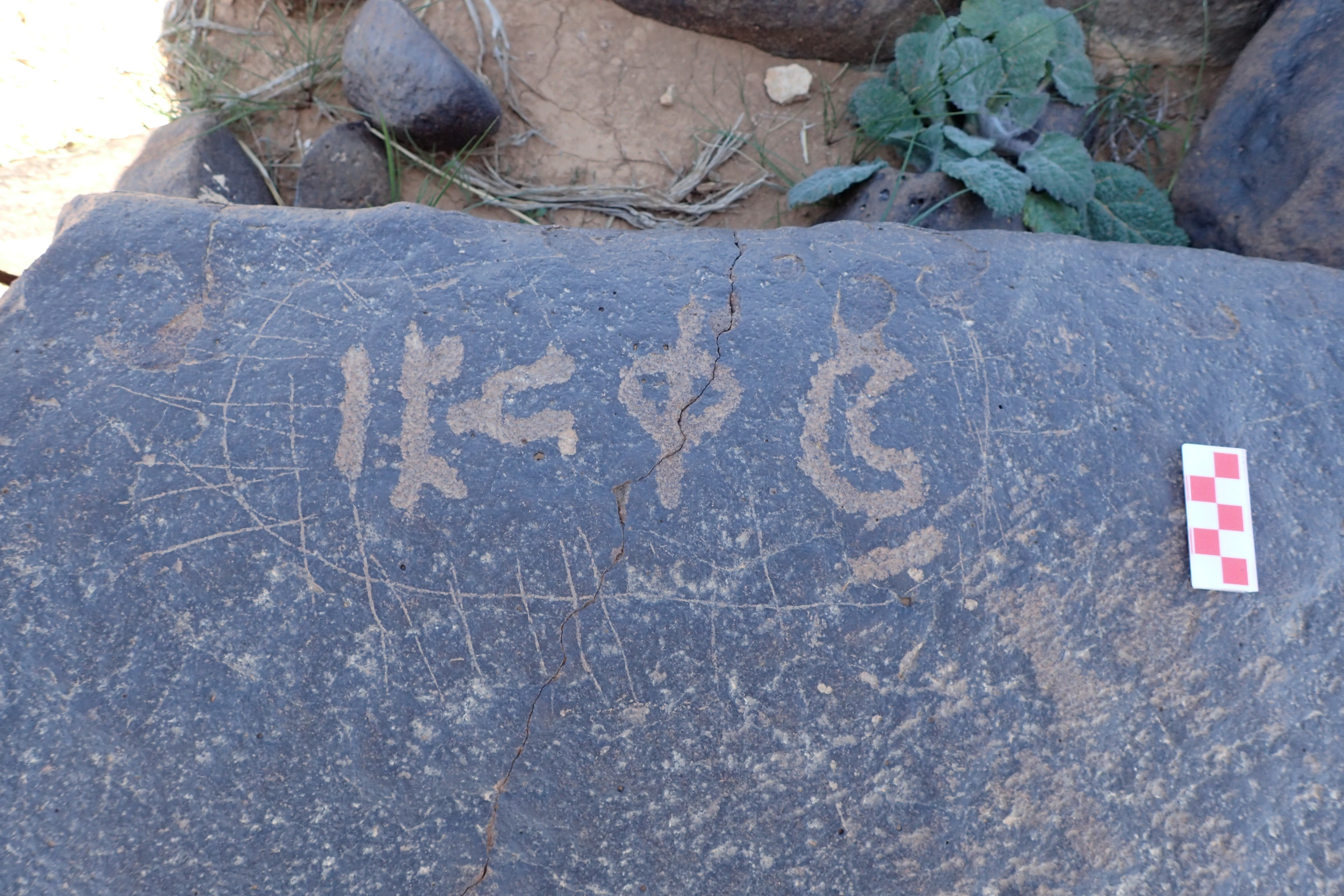 Image of siglum BES20 1563