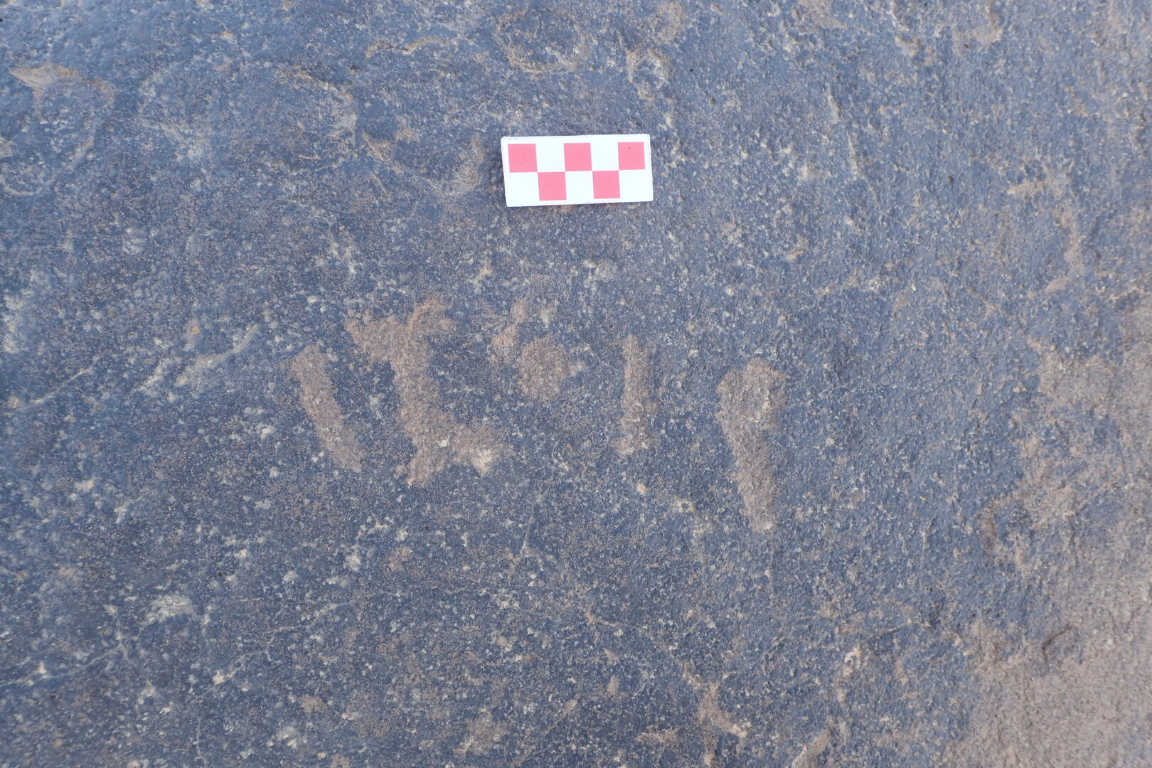 Image of siglum BES20 1564