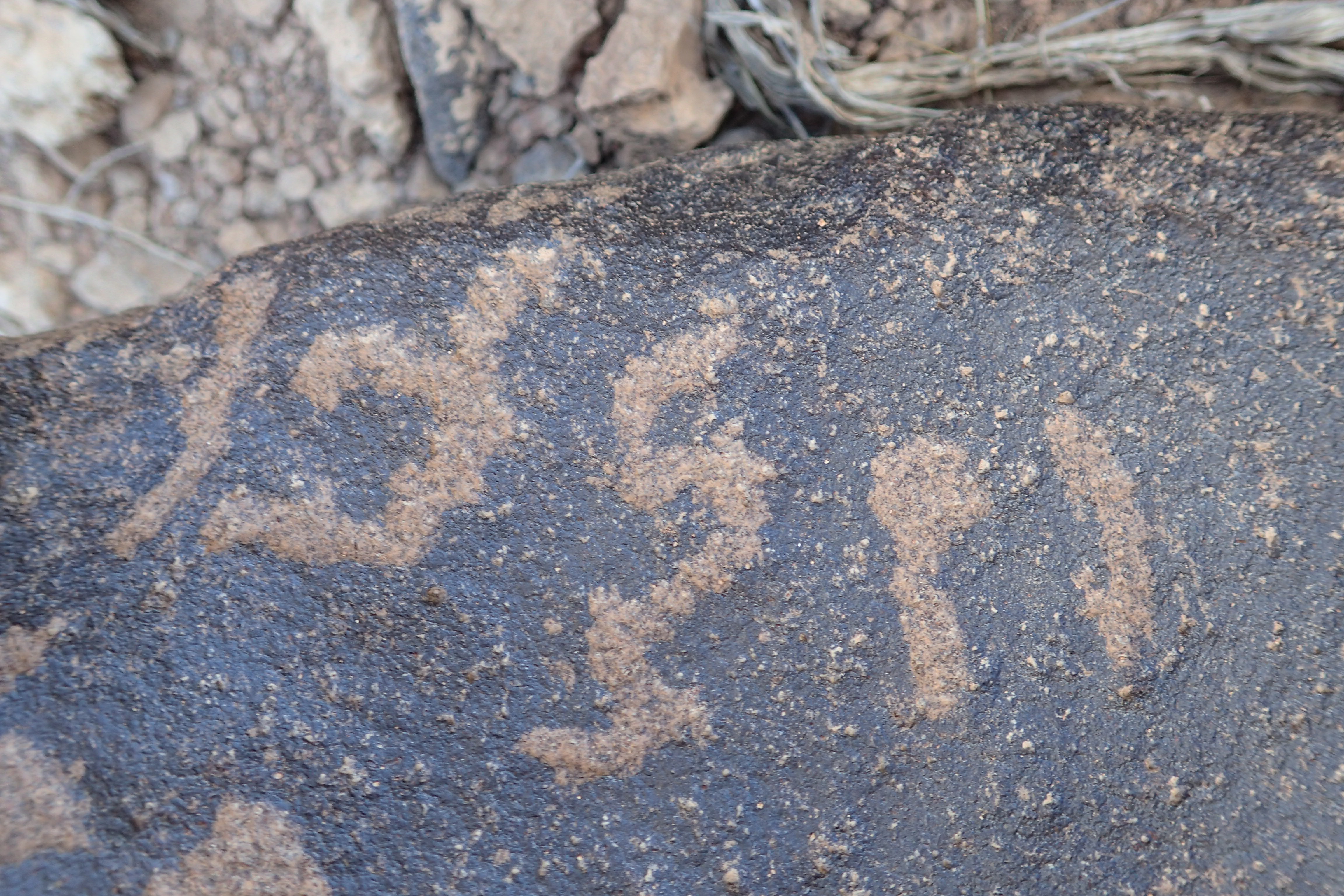 Image of siglum BES20 1567