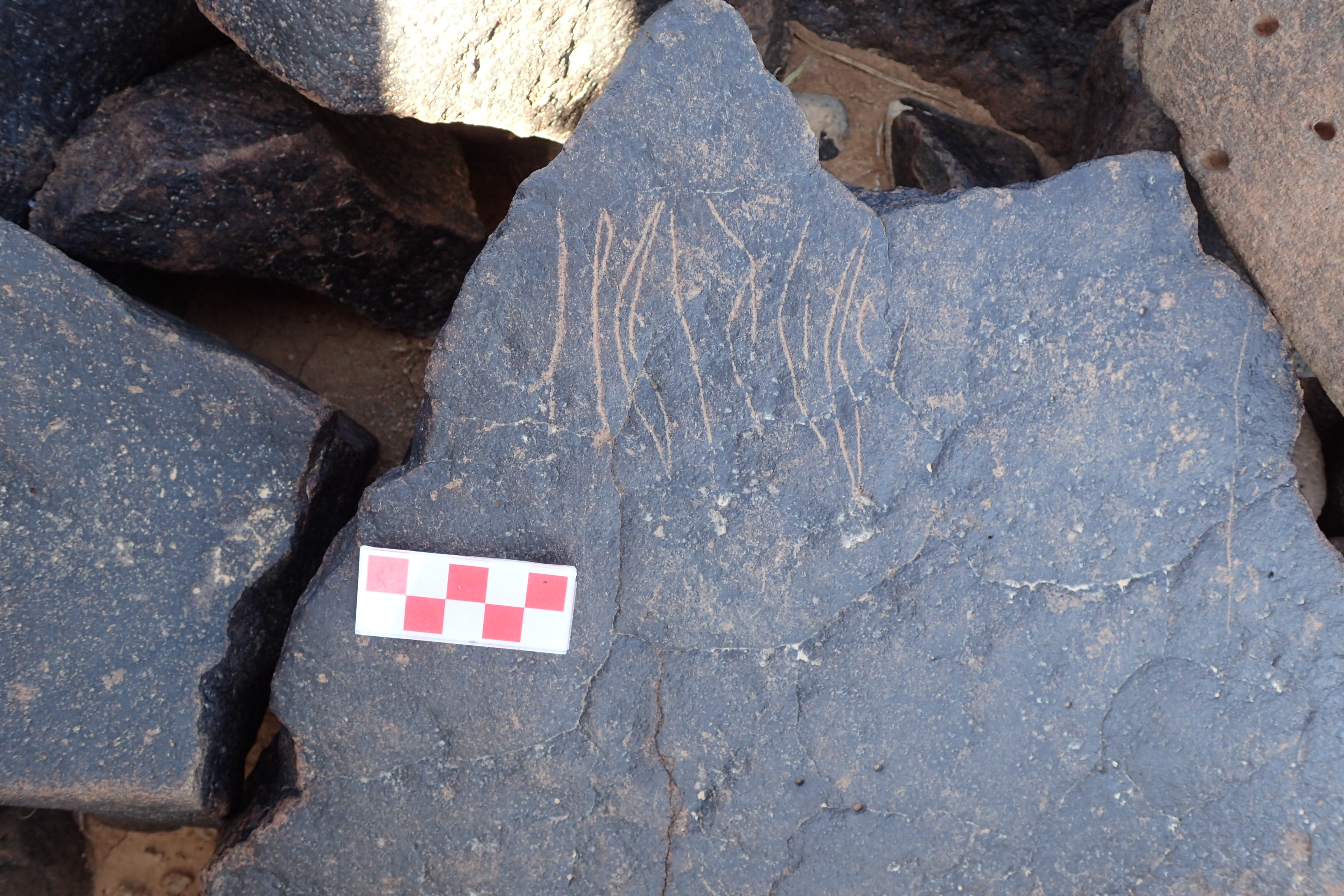 Image of siglum BES20 1568