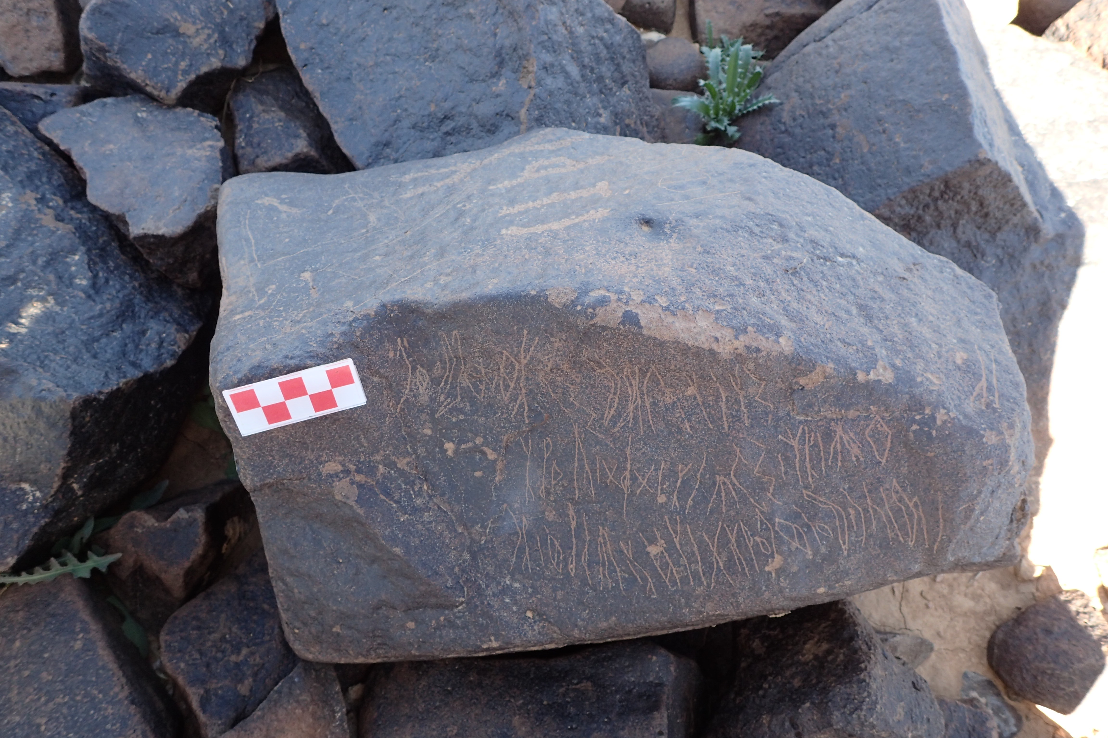 Image of siglum BES20 1569