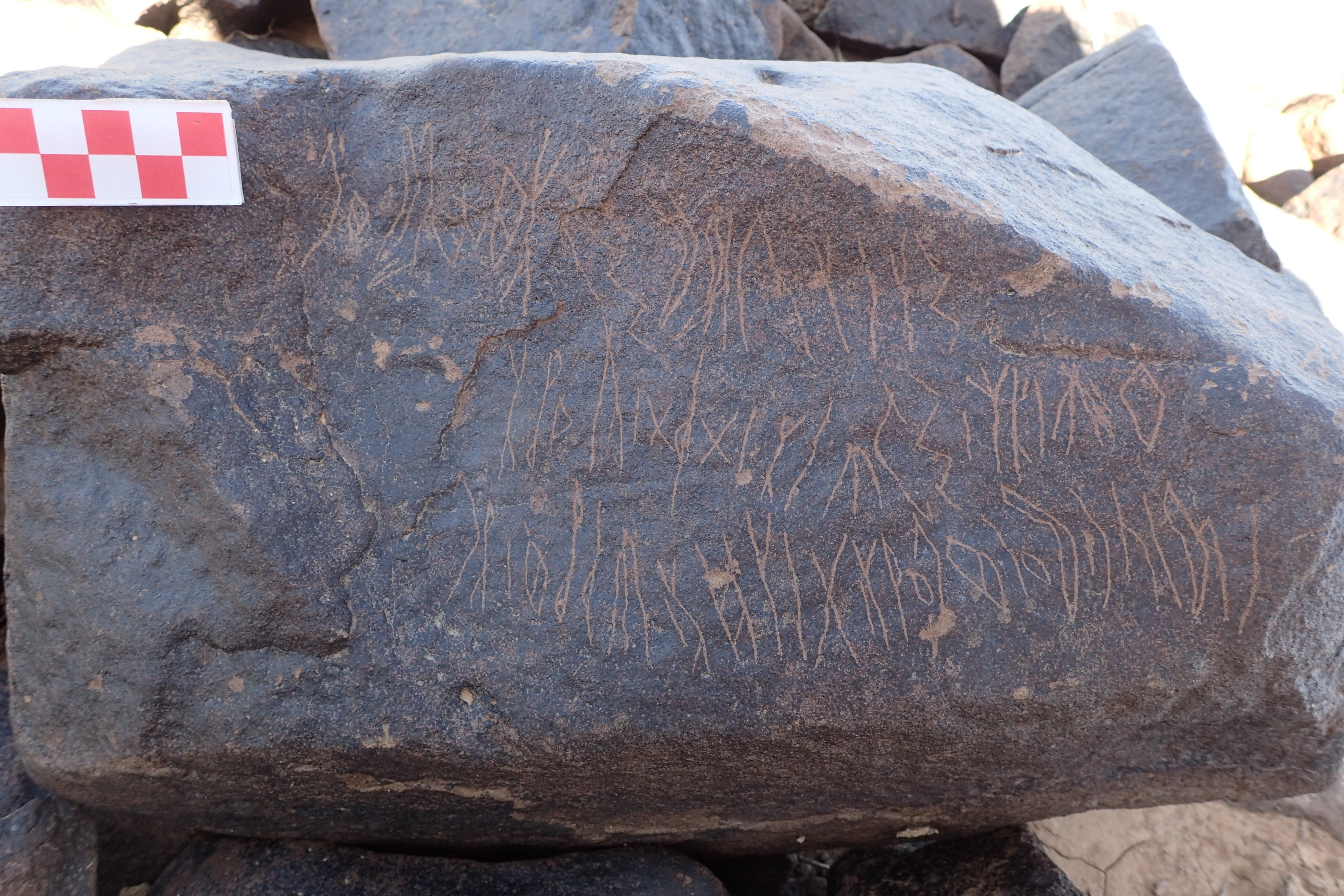 Image of siglum BES20 1569