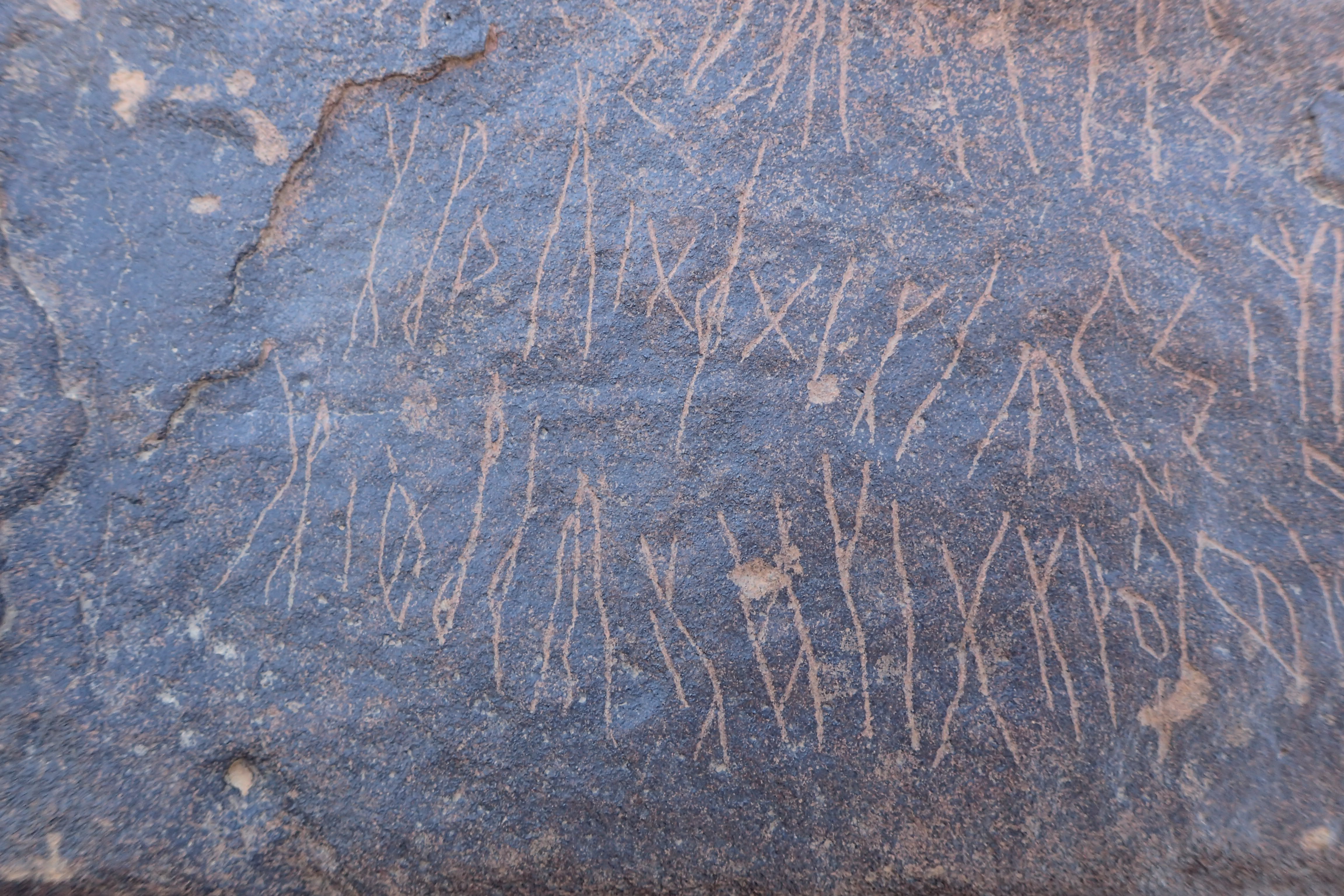 Image of siglum BES20 1569