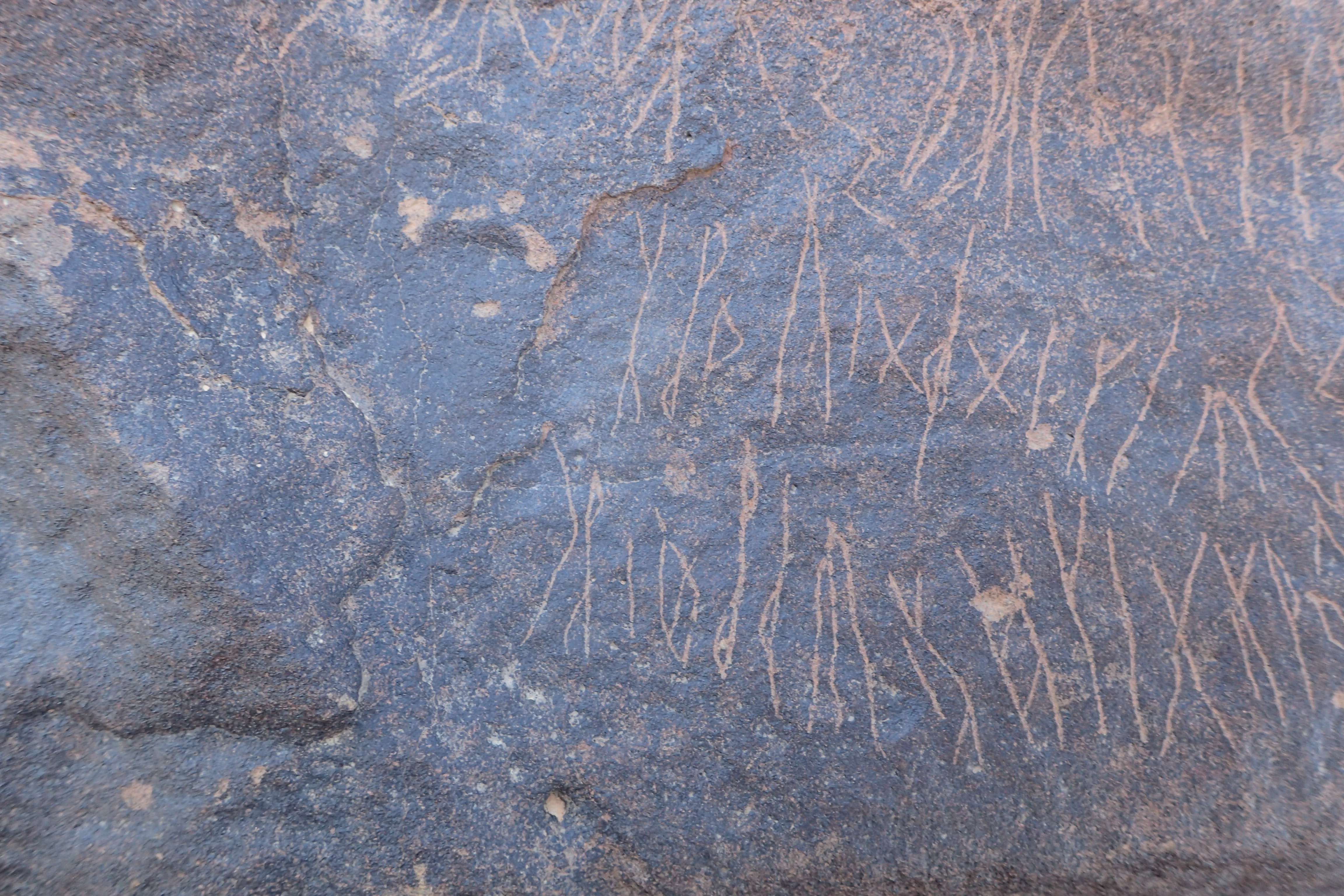 Image of siglum BES20 1569