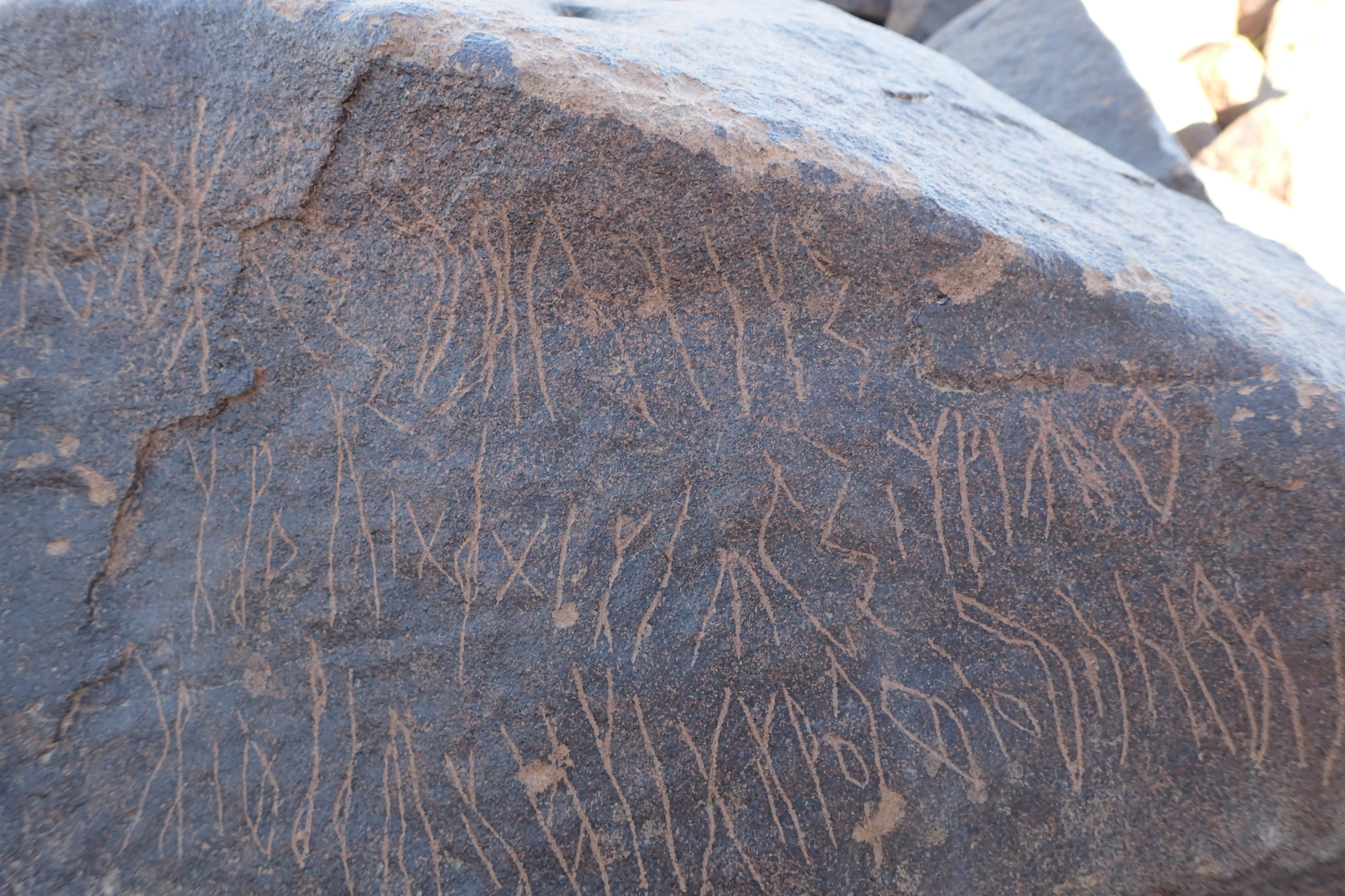 Image of siglum BES20 1569