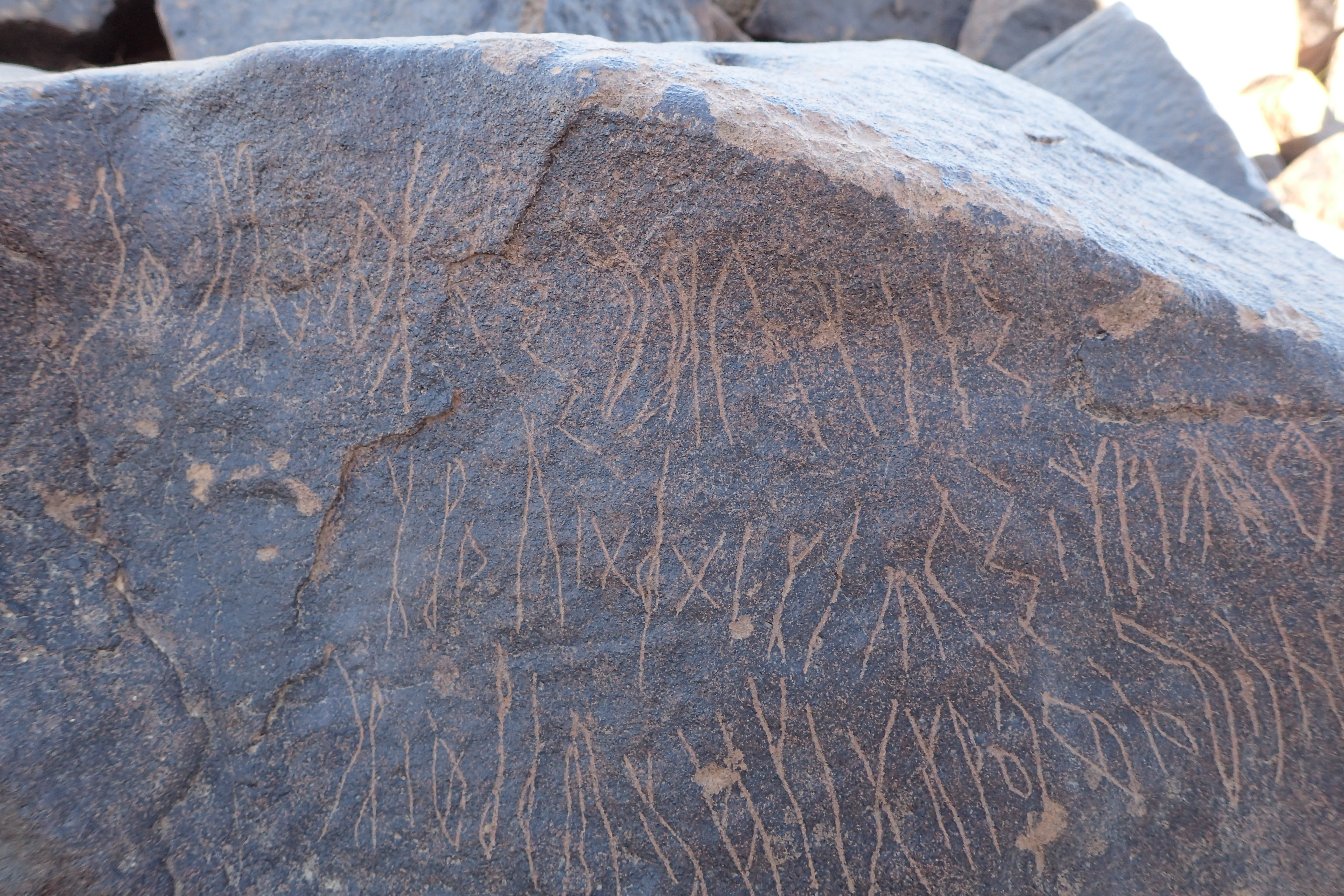 Image of siglum BES20 1569