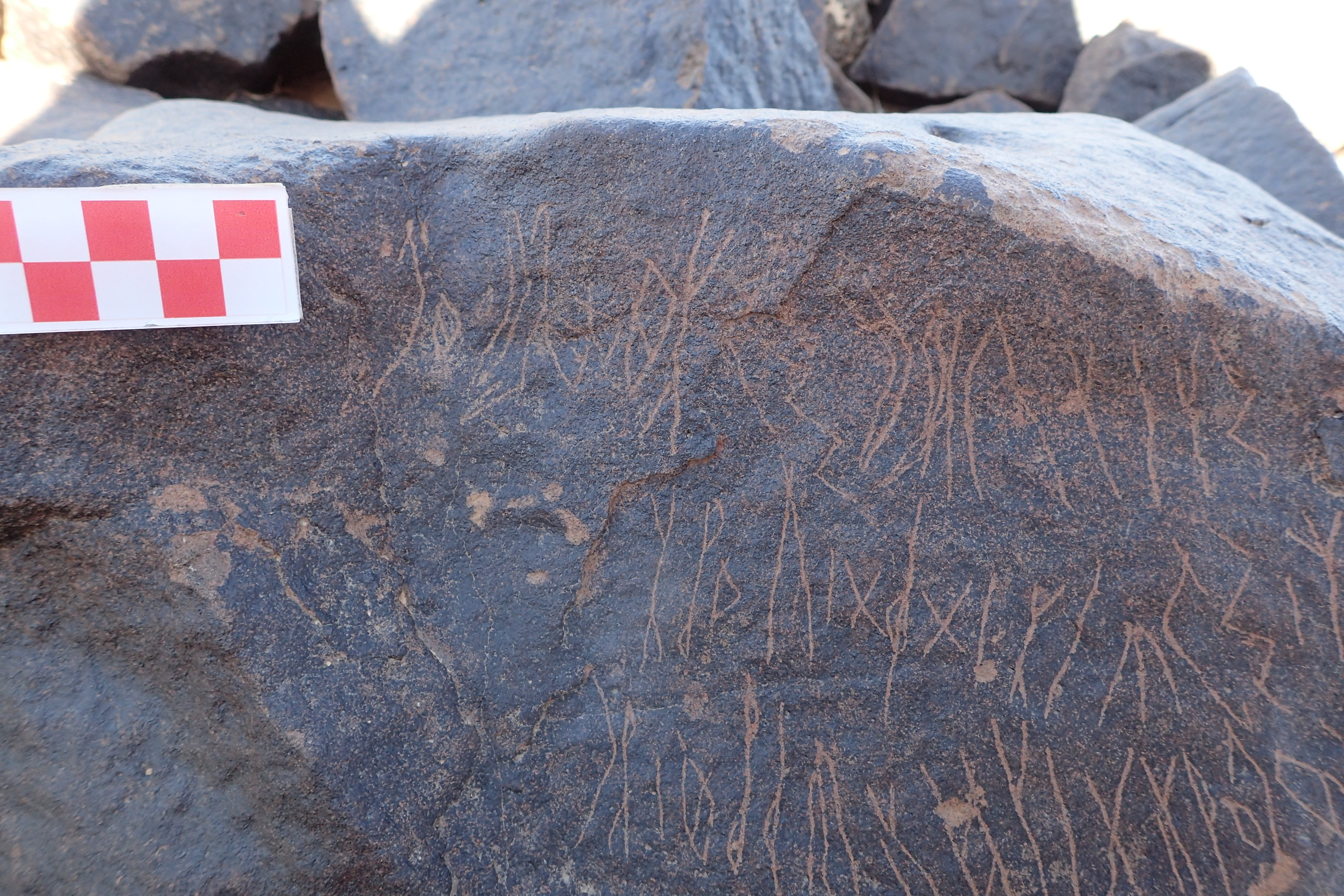 Image of siglum BES20 1569