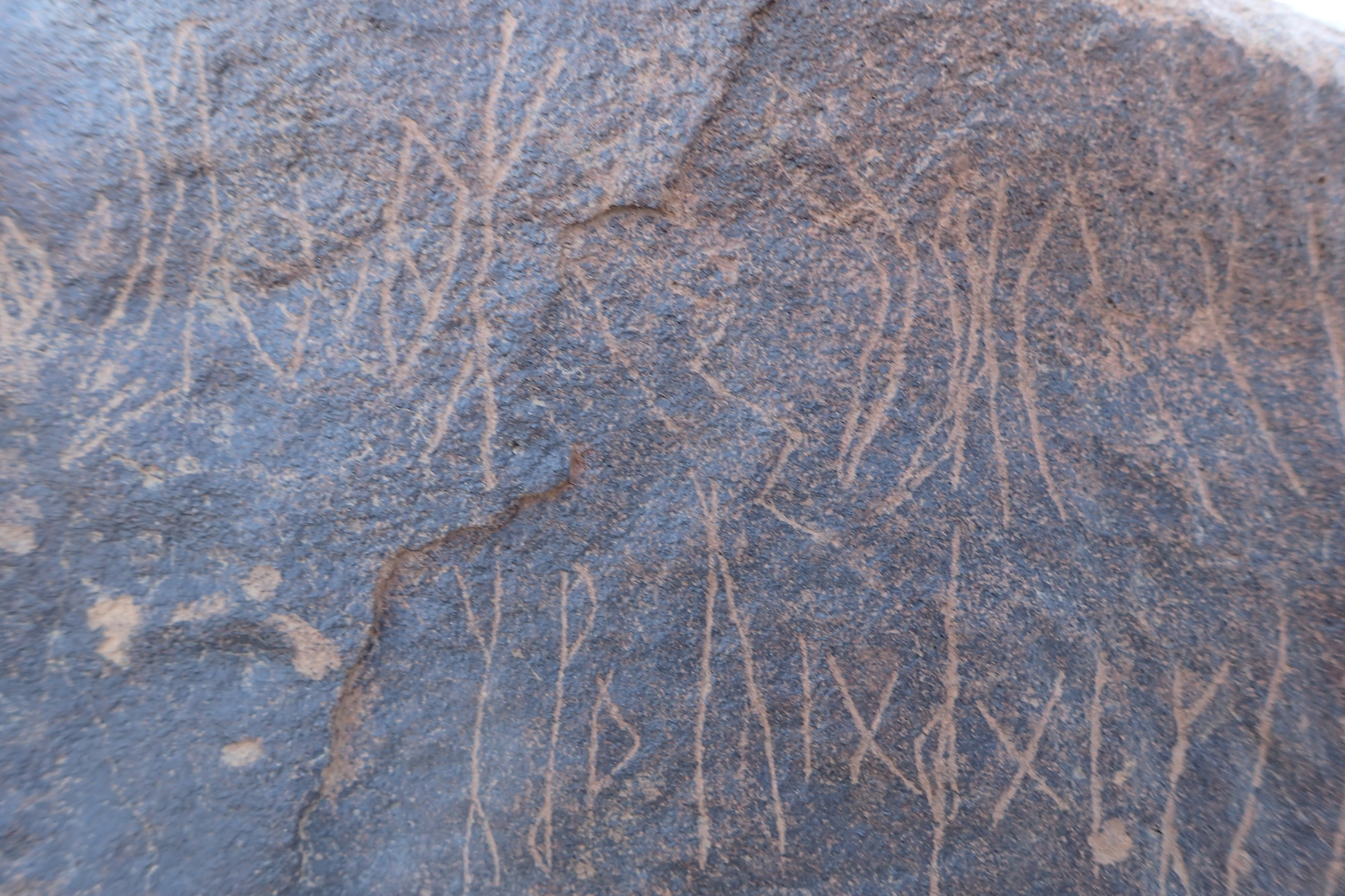 Image of siglum BES20 1569