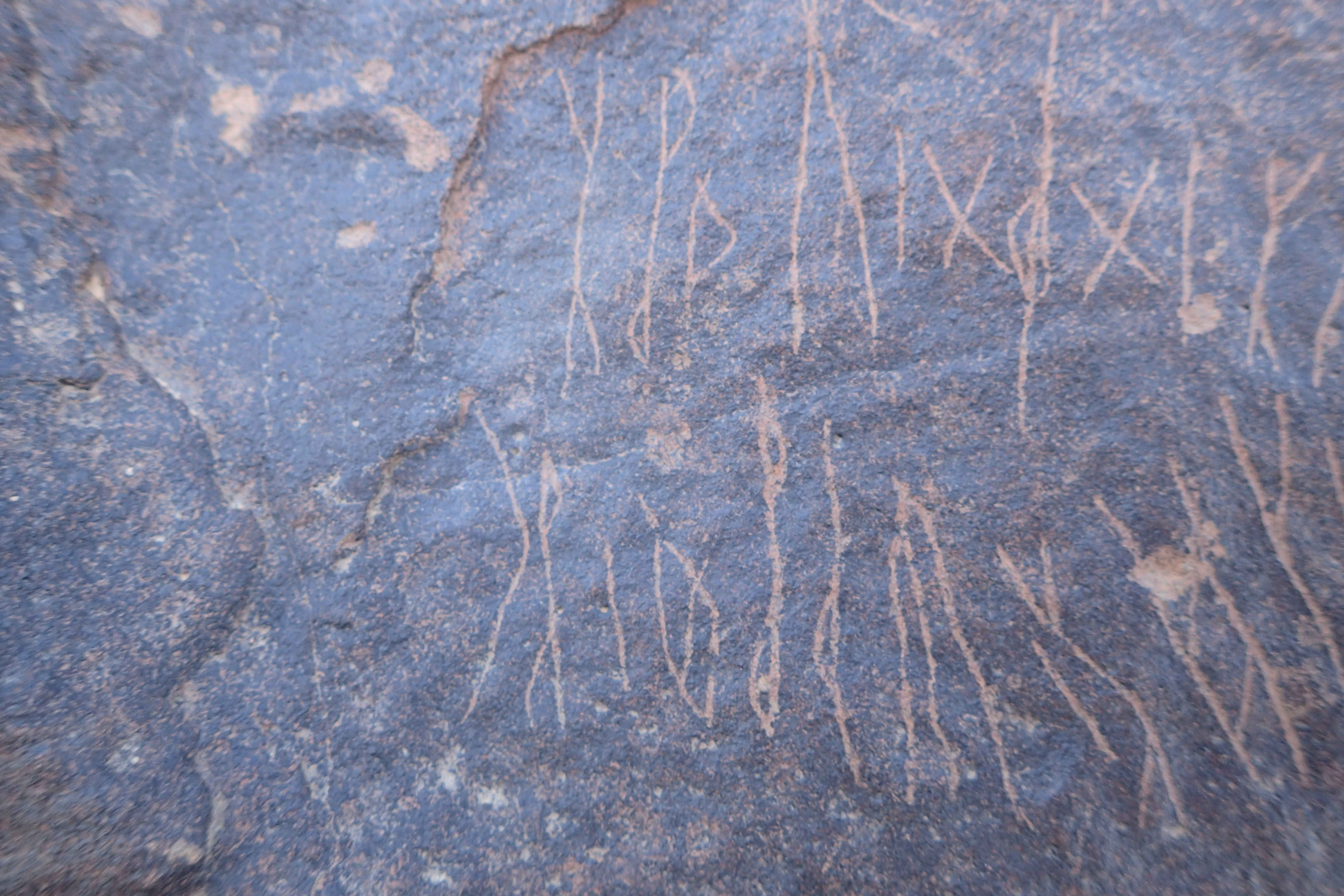 Image of siglum BES20 1569