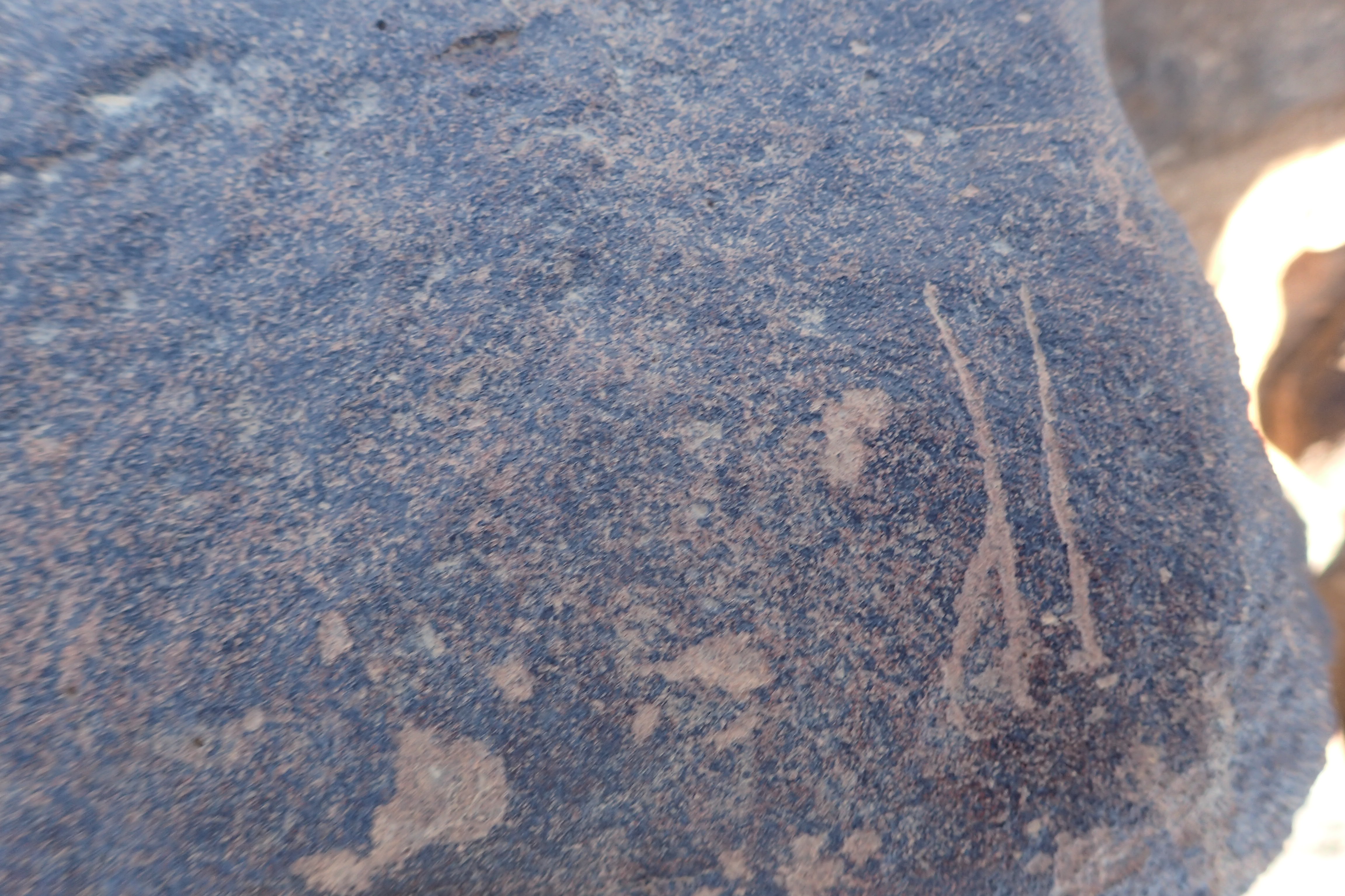 Image of siglum BES20 1569