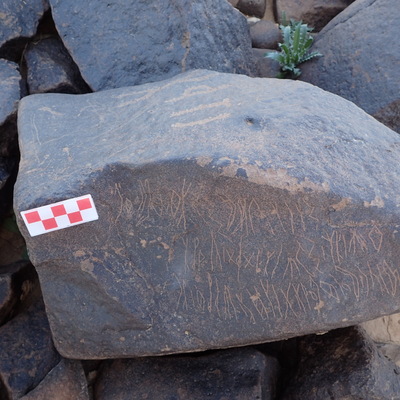 Image of siglum BES20 1569