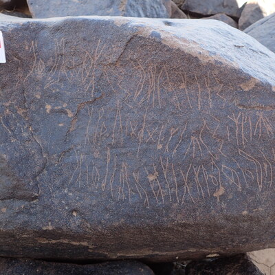 Image of siglum BES20 1569