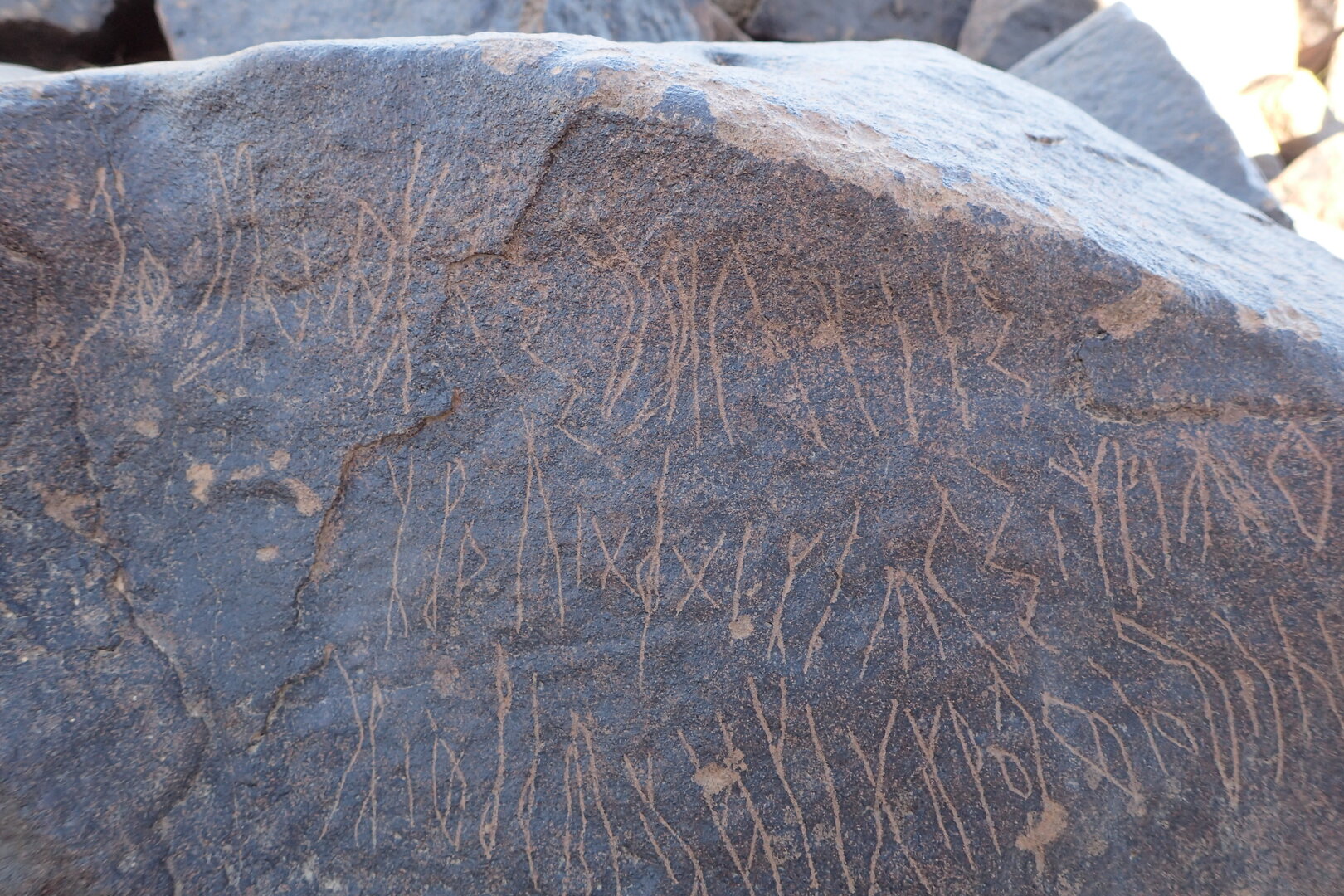 Image of siglum BES20 1569