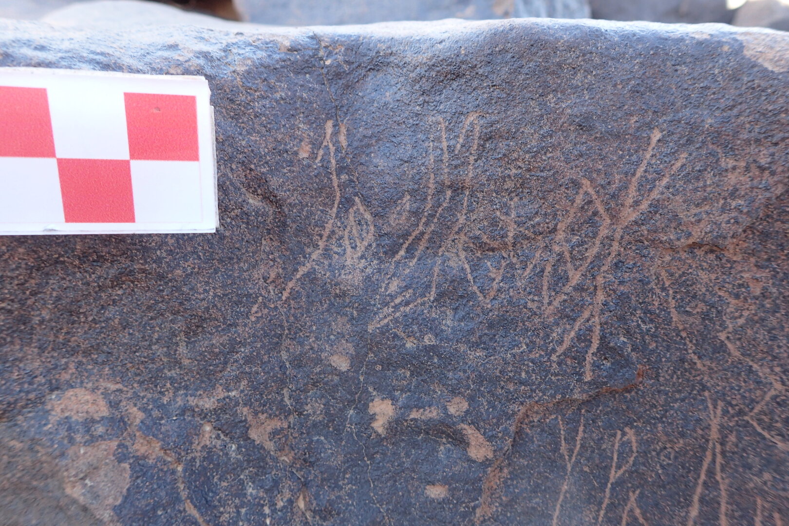 Image of siglum BES20 1569