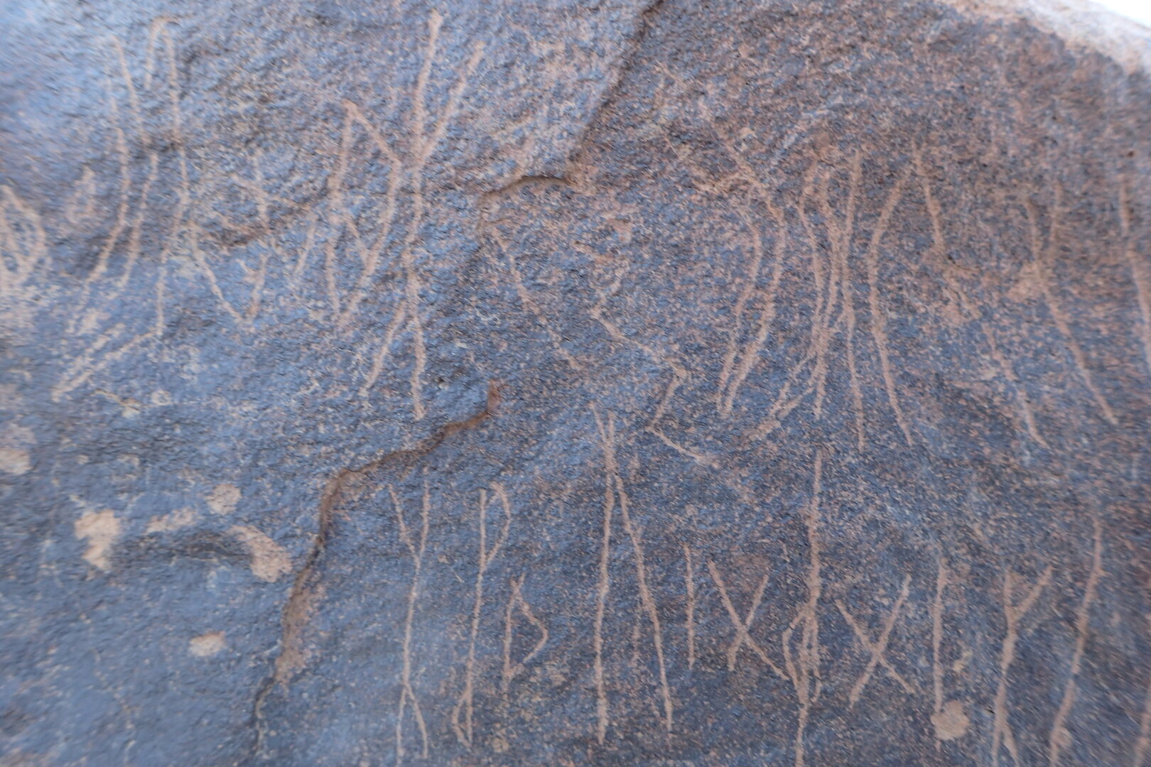 Image of siglum BES20 1569