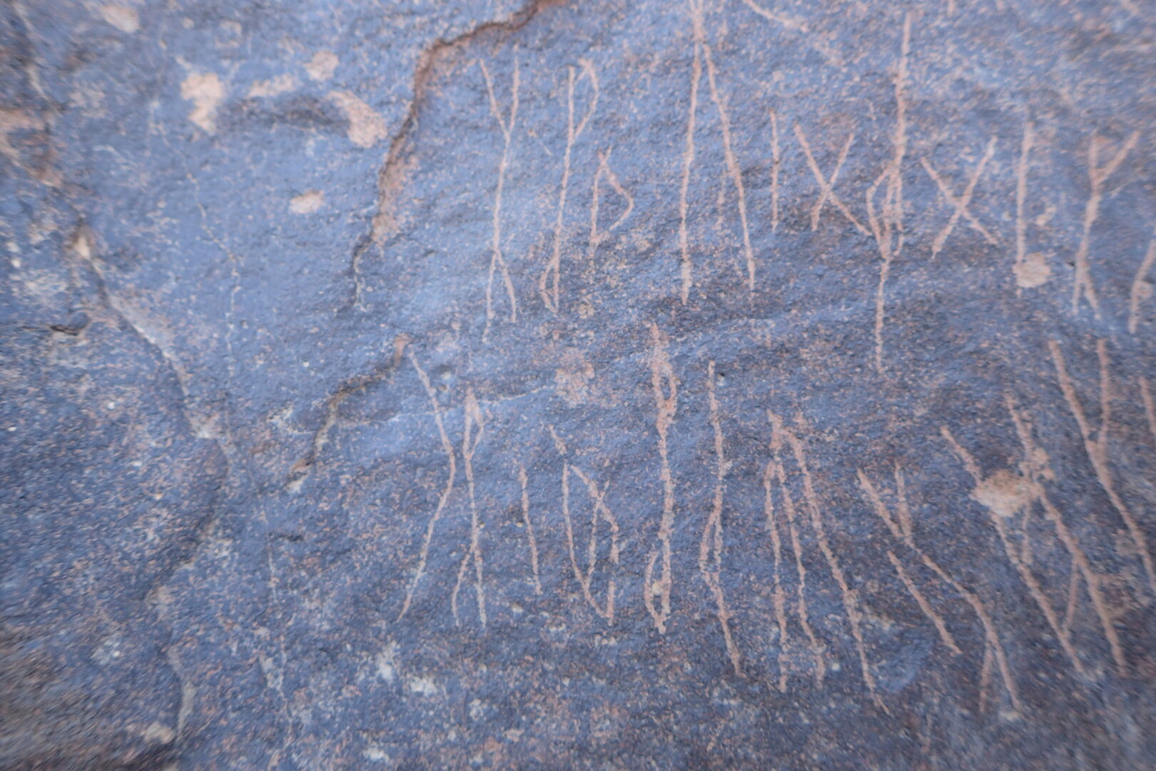 Image of siglum BES20 1569