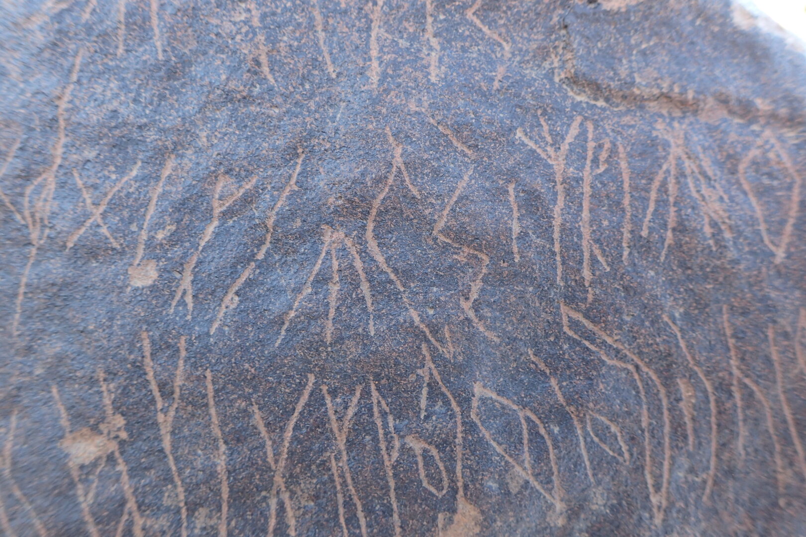 Image of siglum BES20 1569