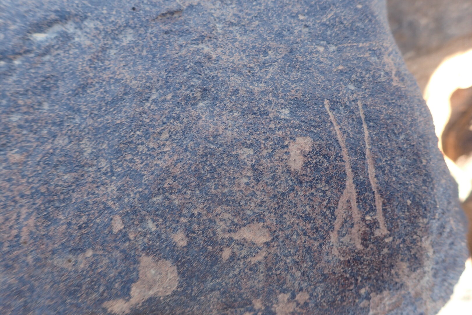 Image of siglum BES20 1569