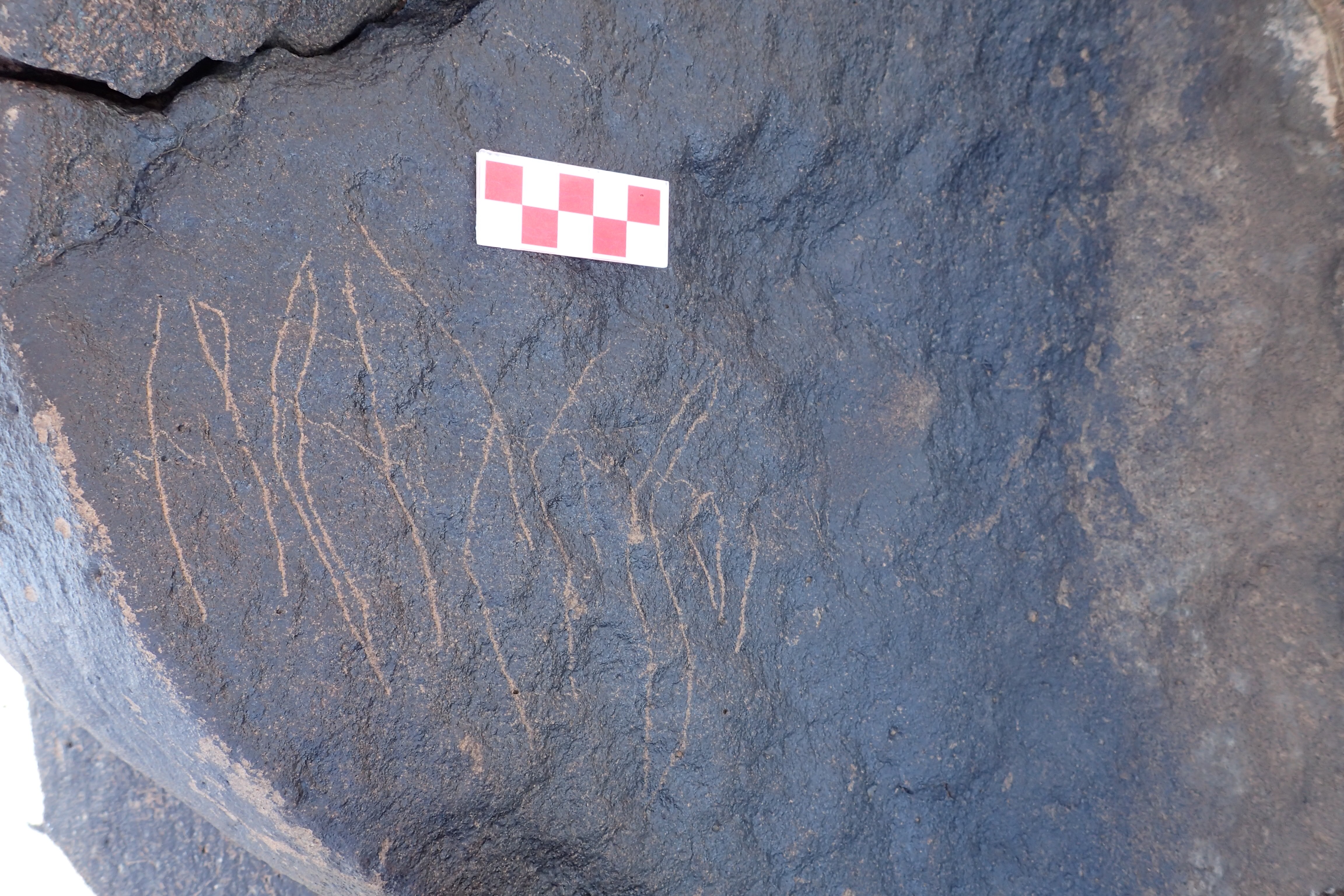 Image of siglum BES20 1572