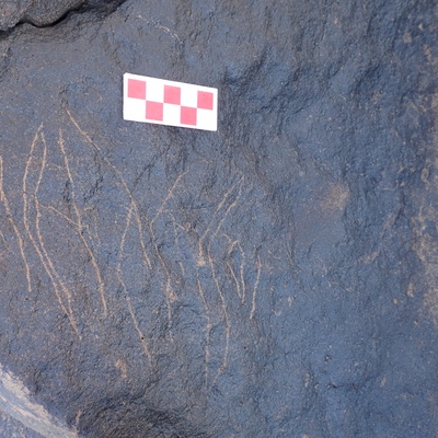 Image of siglum BES20 1572