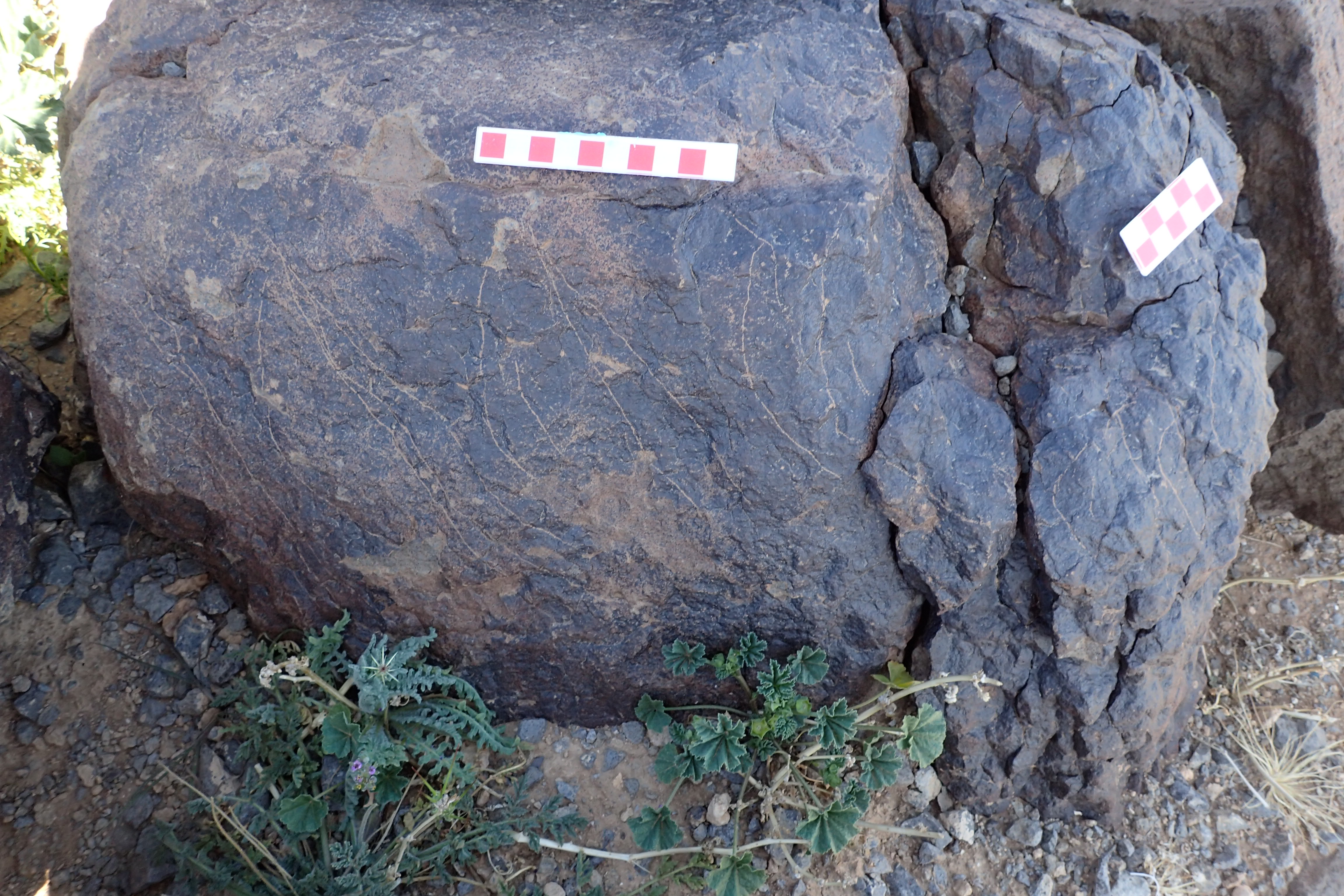 Image of siglum BES20 1573