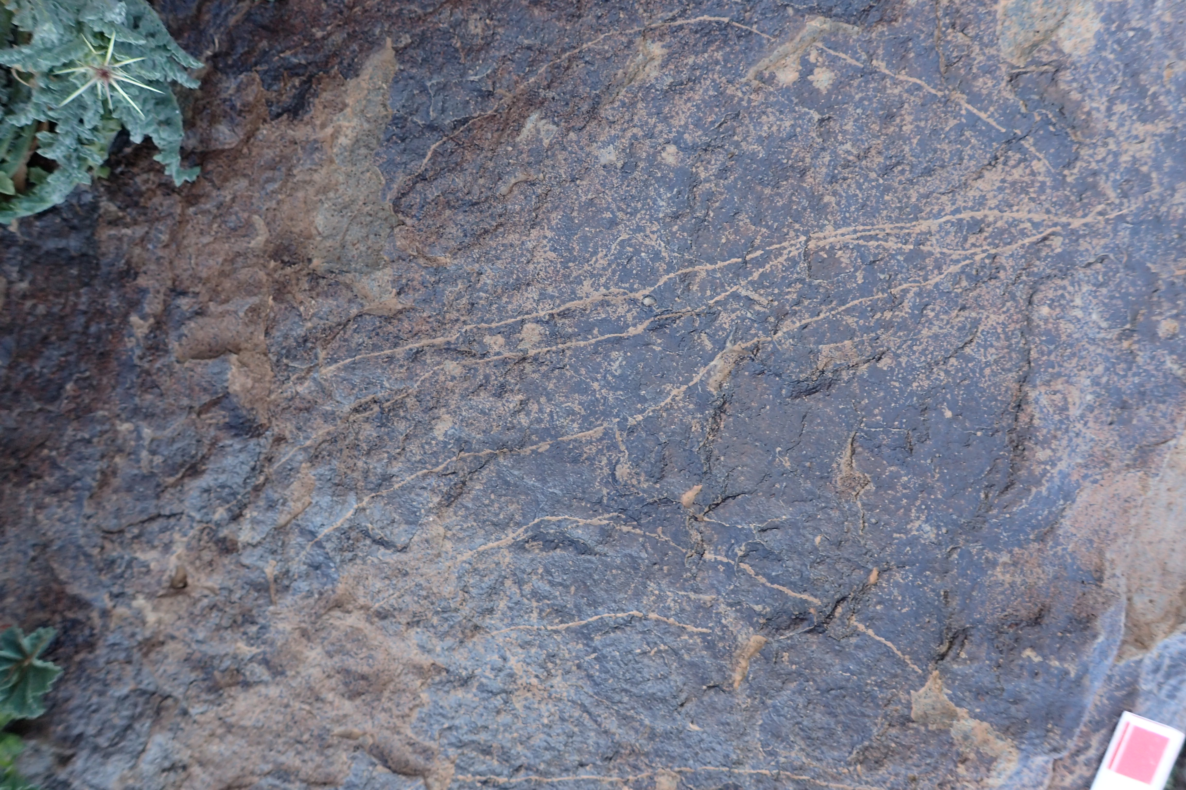 Image of siglum BES20 1573