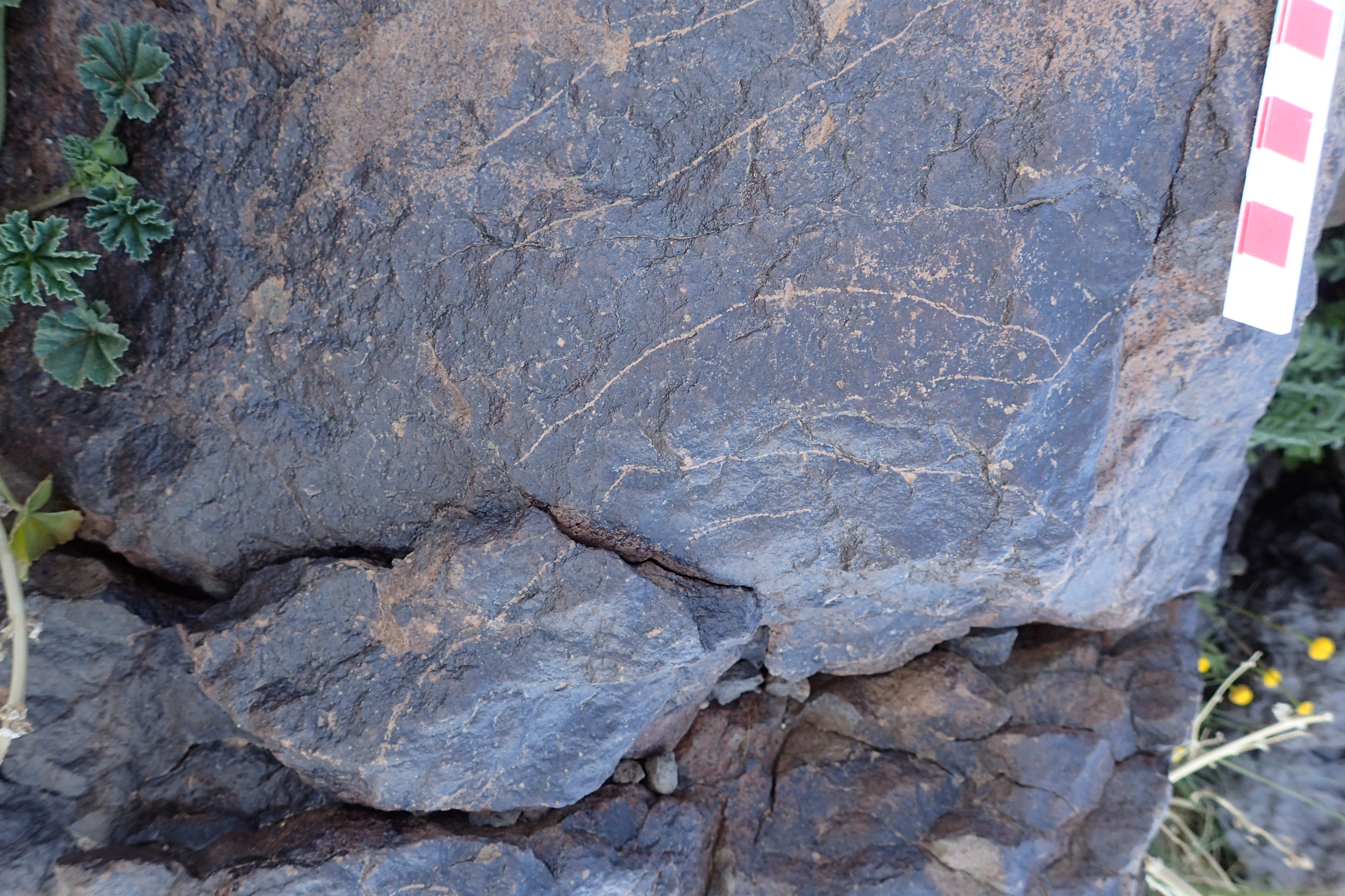 Image of siglum BES20 1573