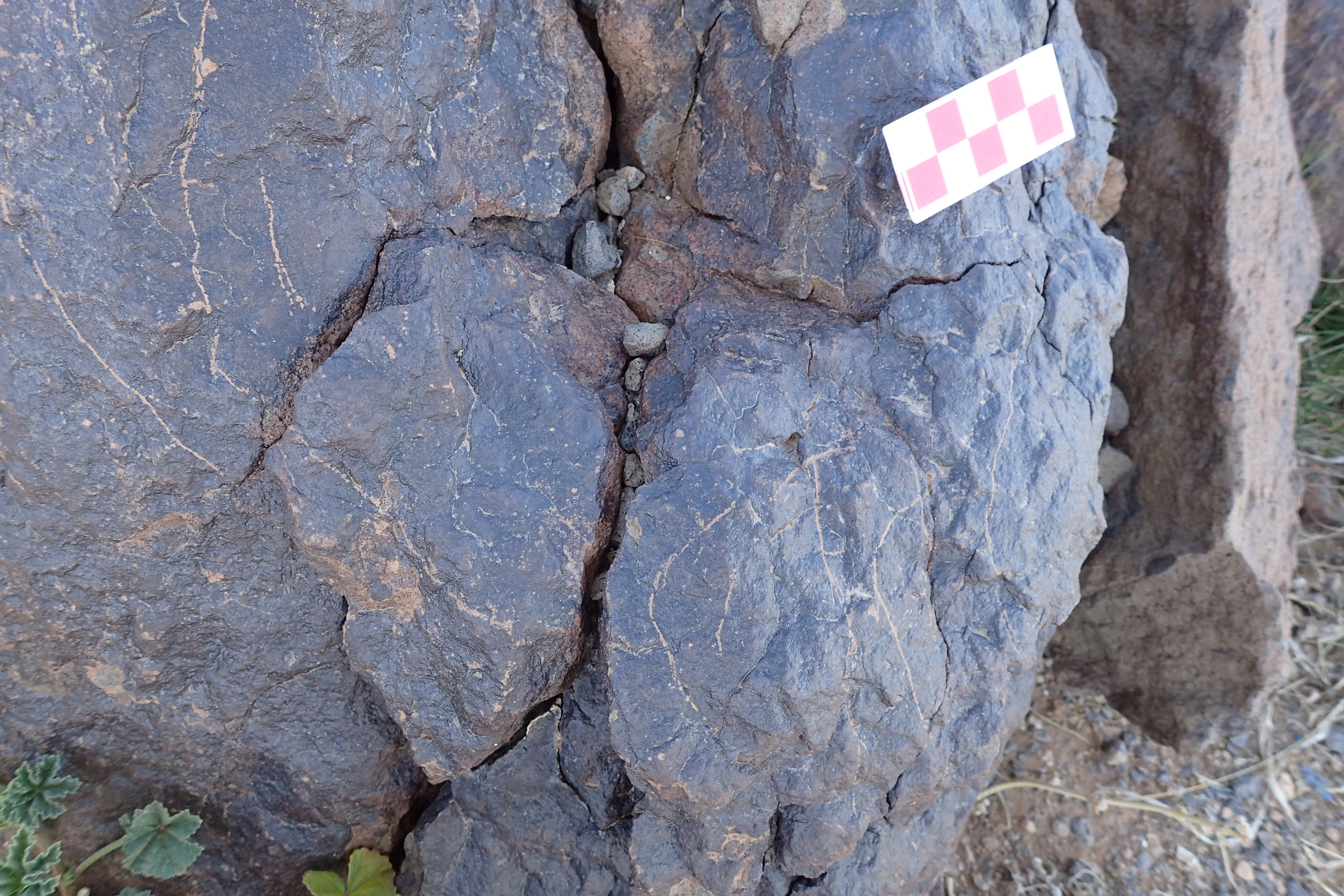 Image of siglum BES20 1573