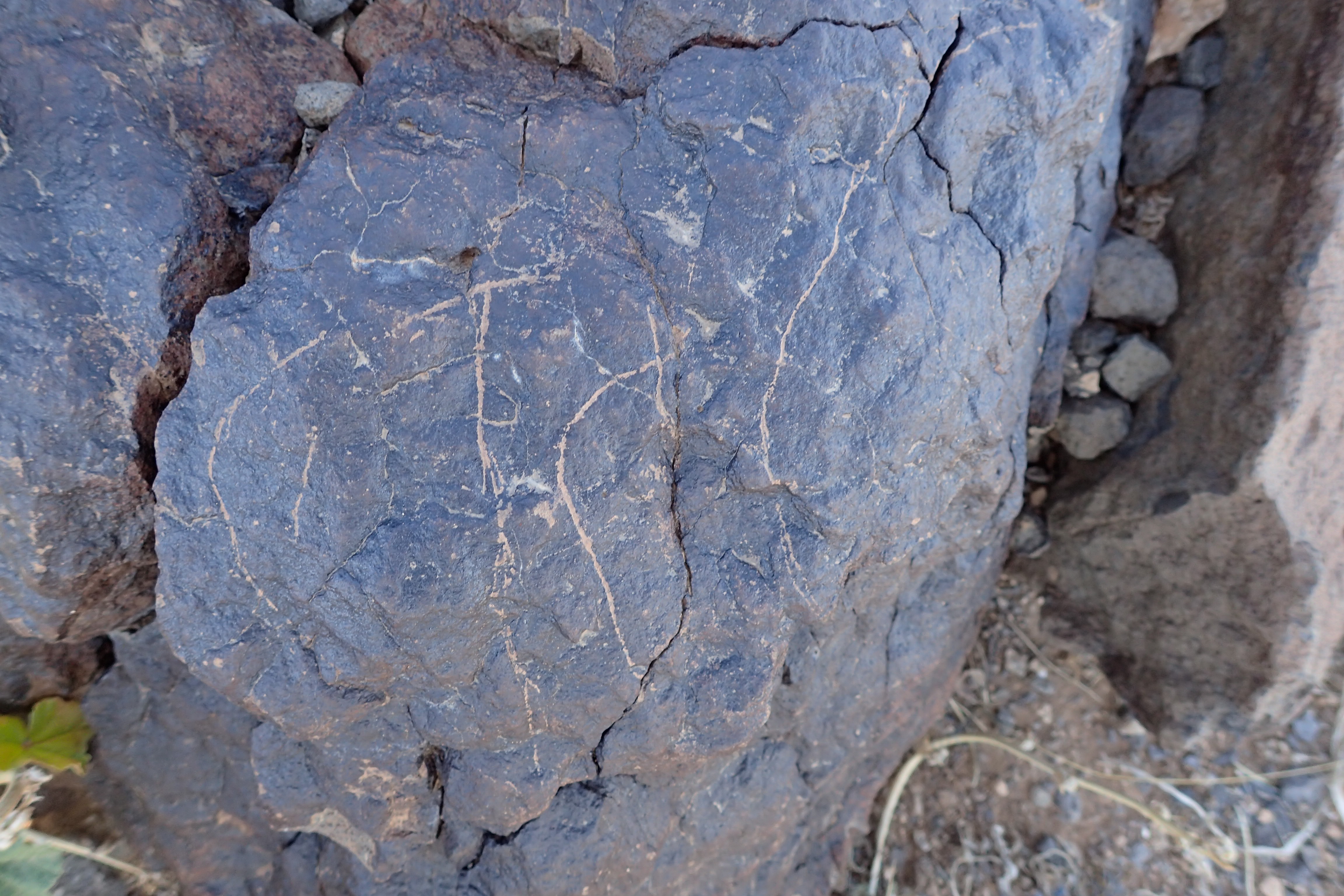 Image of siglum BES20 1573