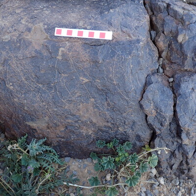 Image of siglum BES20 1573