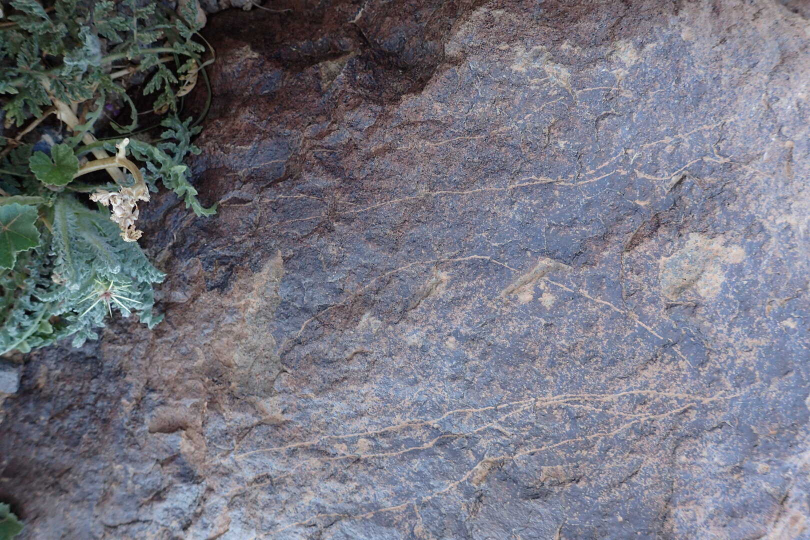 Image of siglum BES20 1573