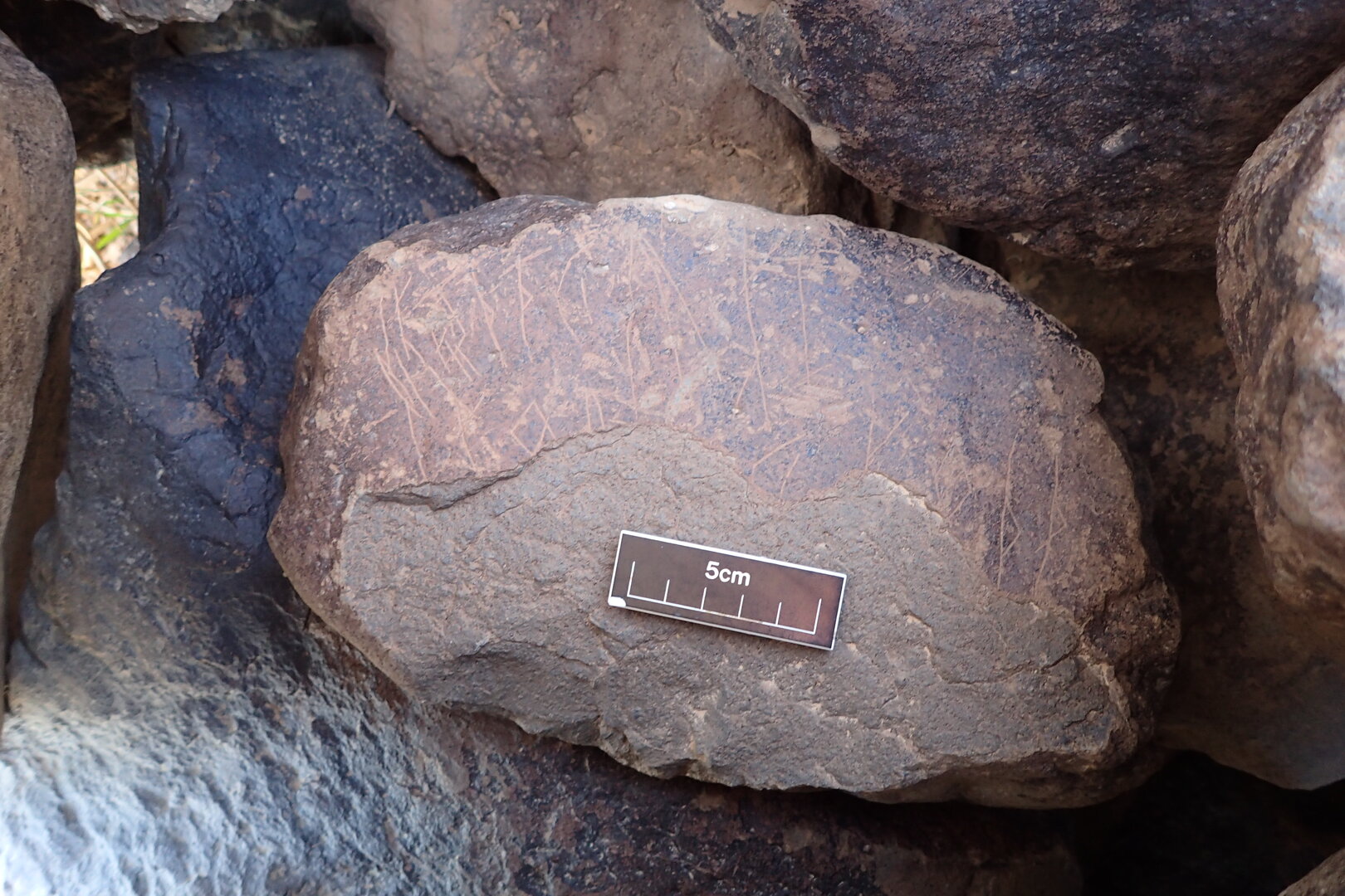Image of siglum BES20 1574