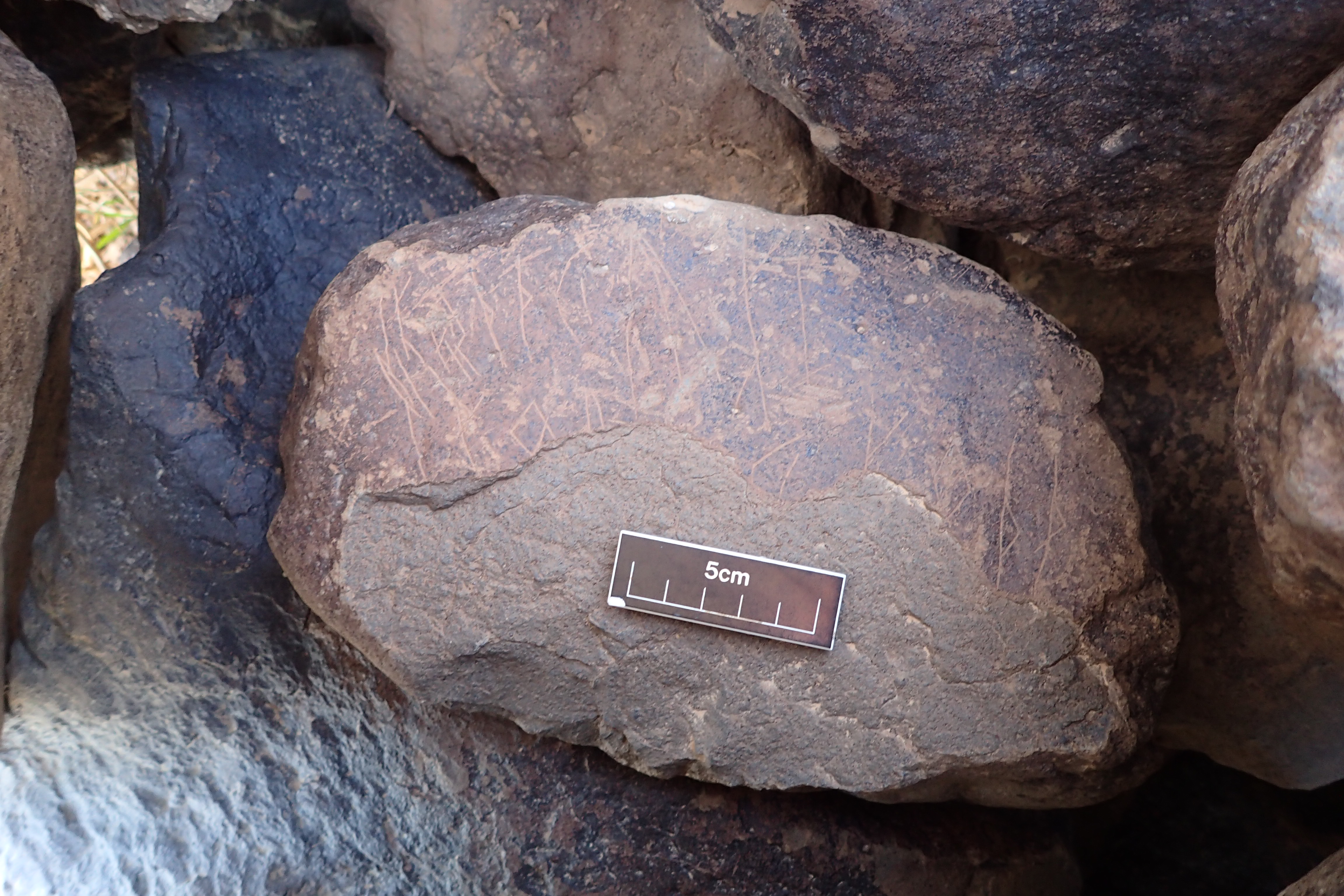 Image of siglum BES20 1575