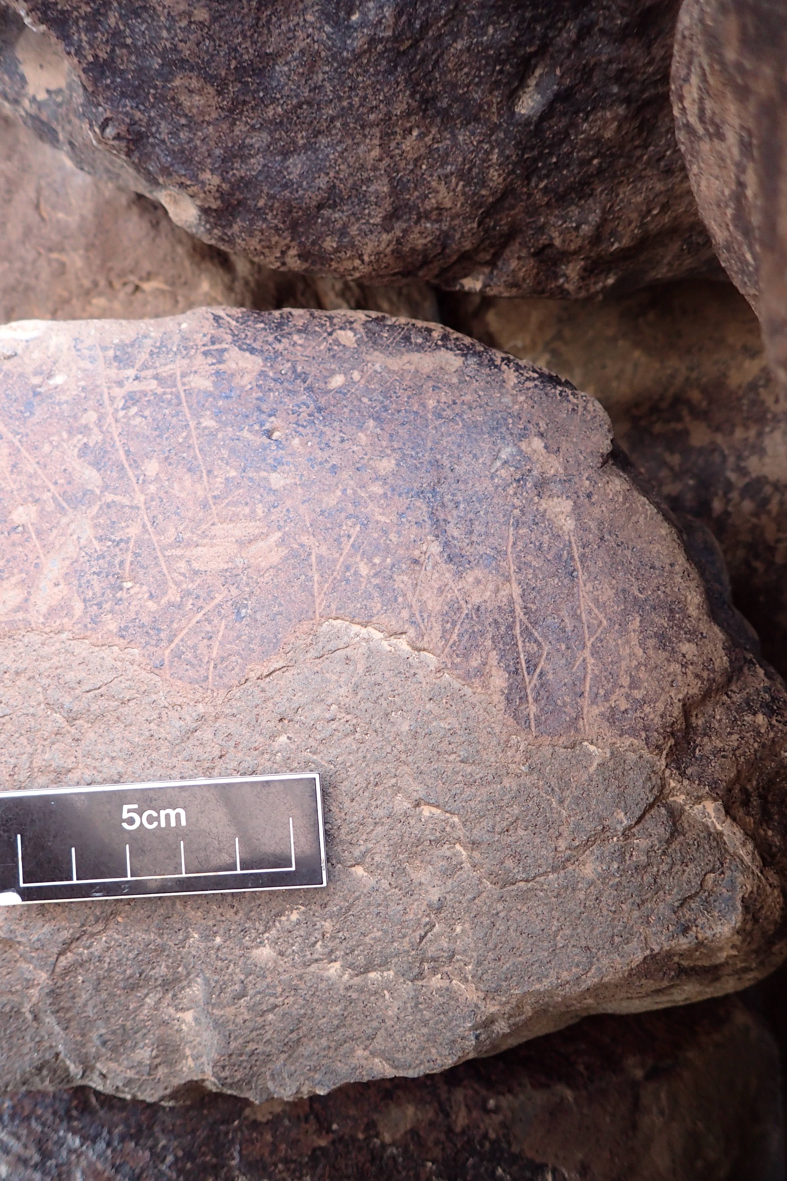 Image of siglum BES20 1575