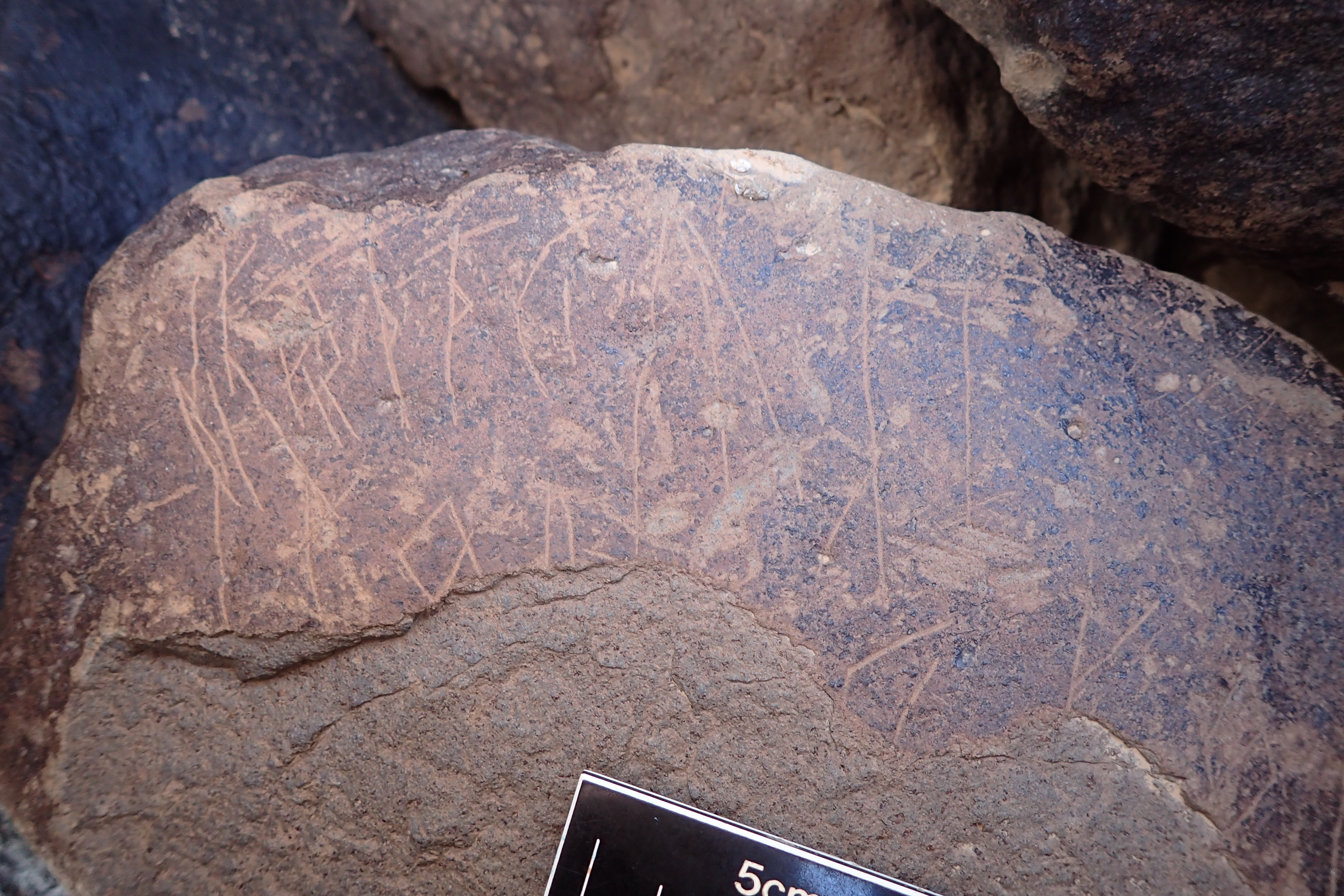 Image of siglum BES20 1575