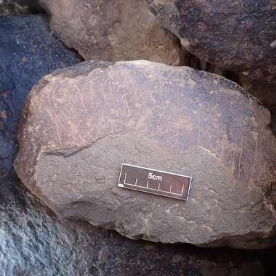 Image of siglum BES20 1575