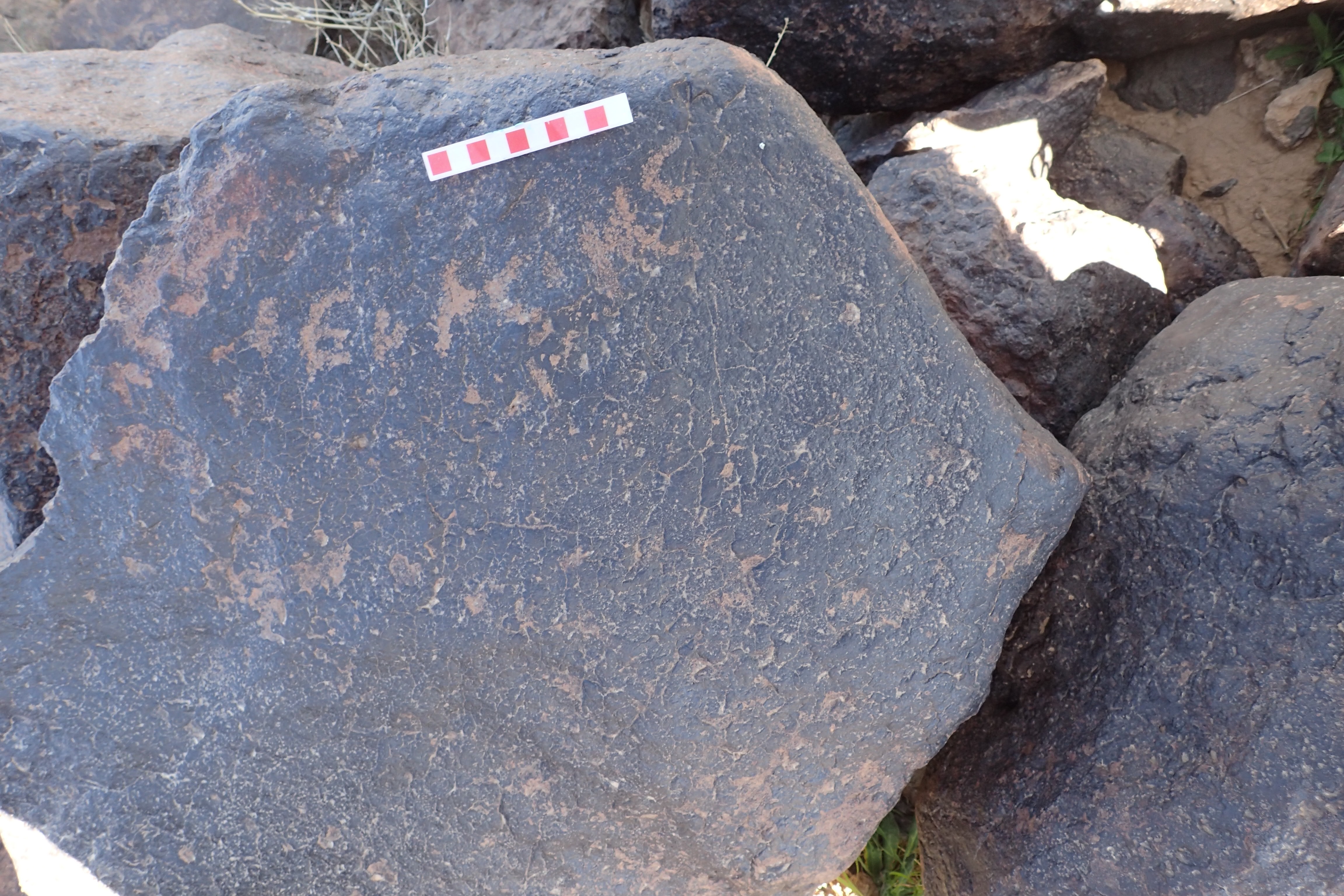 Image of siglum BES20 1576