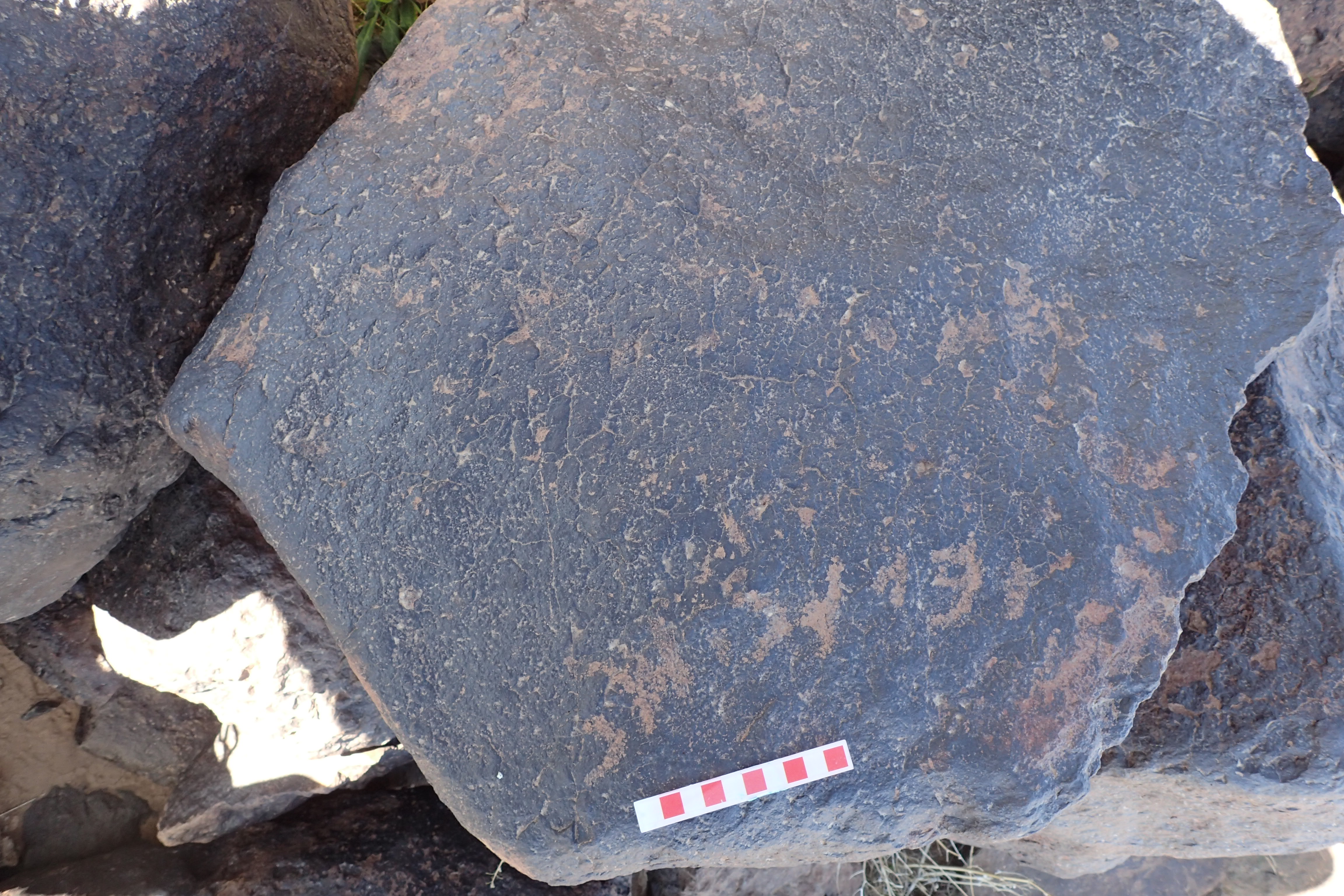 Image of siglum BES20 1576