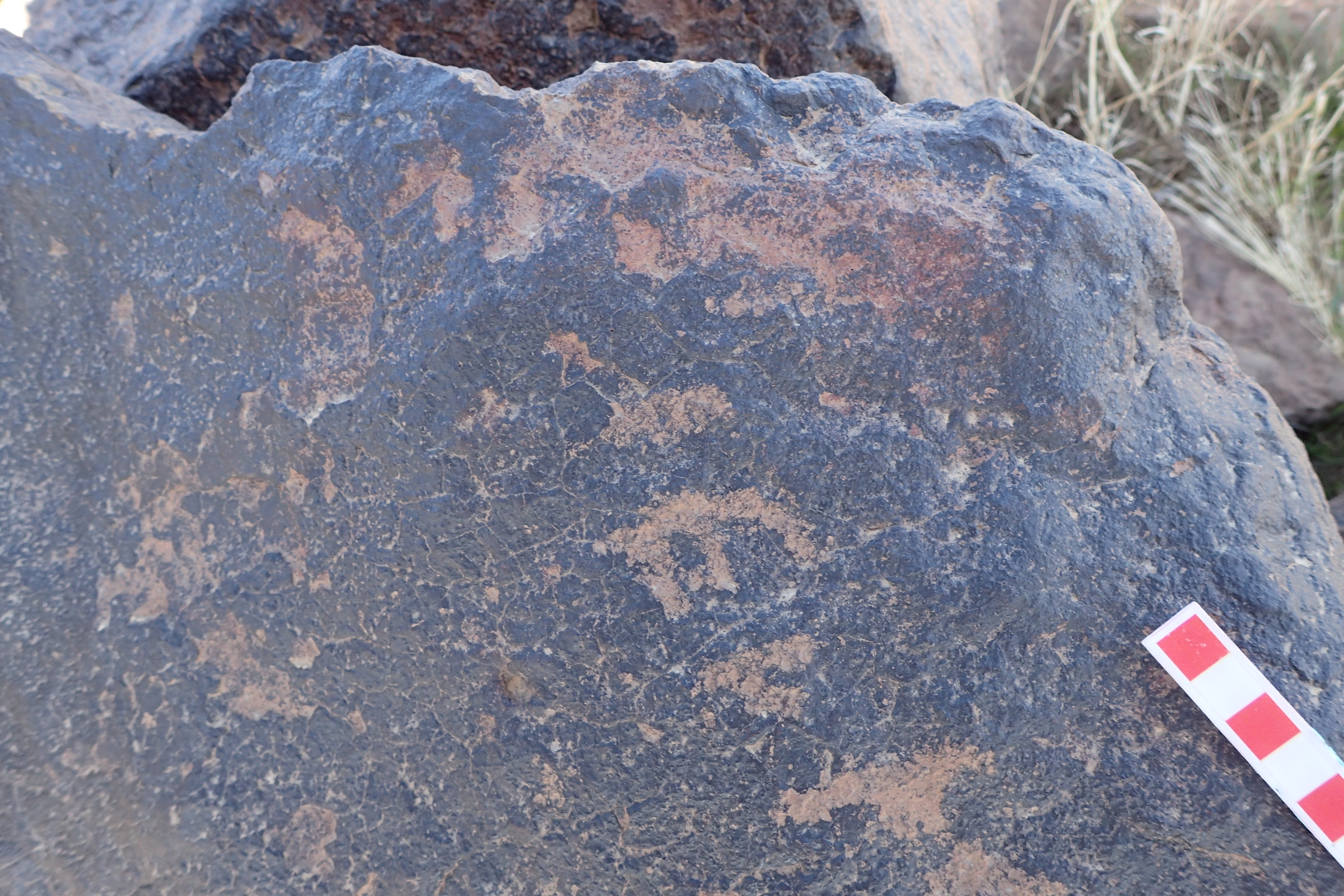 Image of siglum BES20 1576